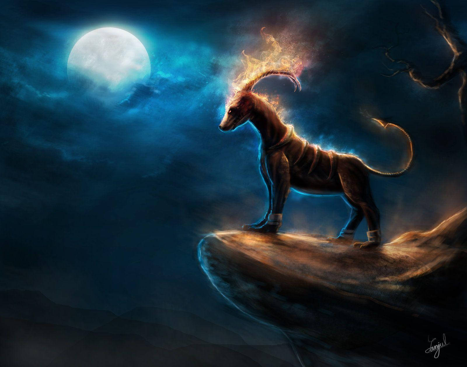 Houndoom, rock, moon, HD Desktop Wallpaper