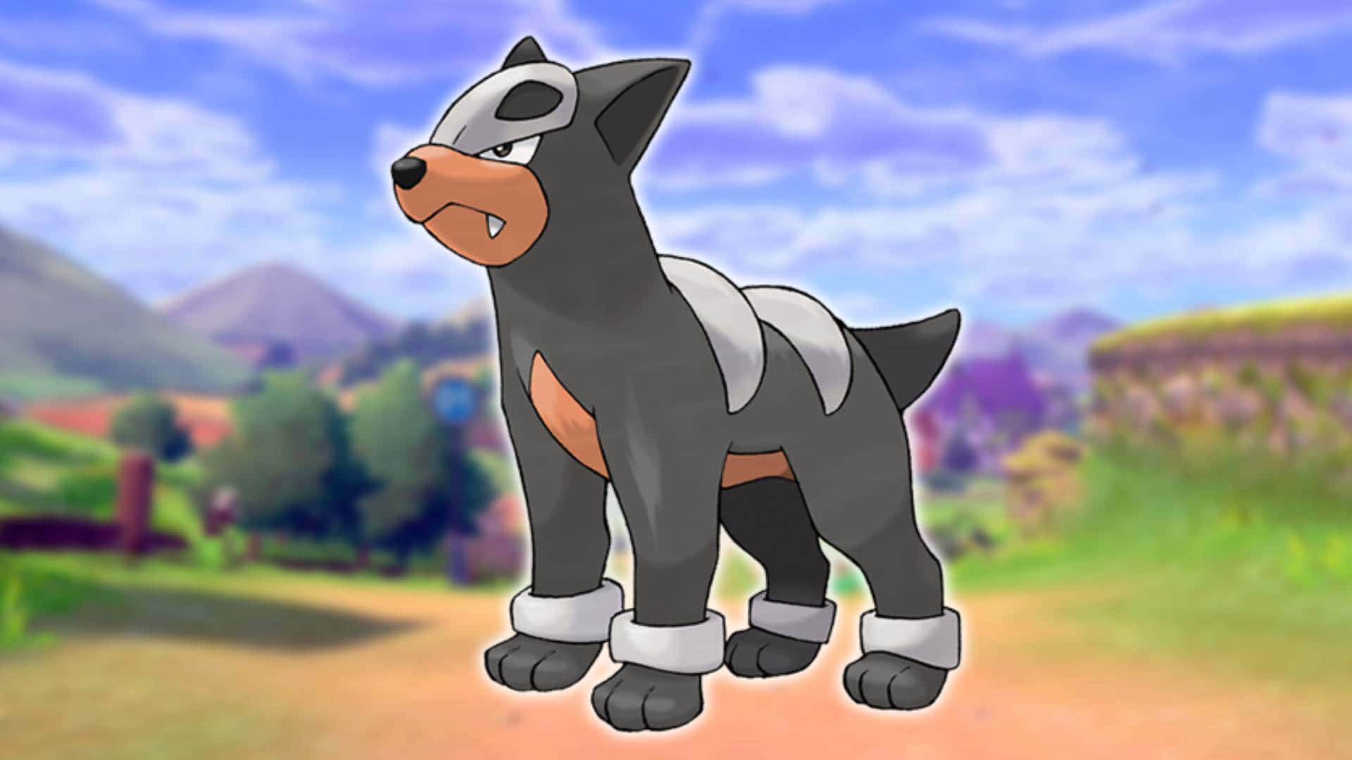 Houndour, gray and white fur, colorful outdoor landscape, Full HD Desktop Wallpaper