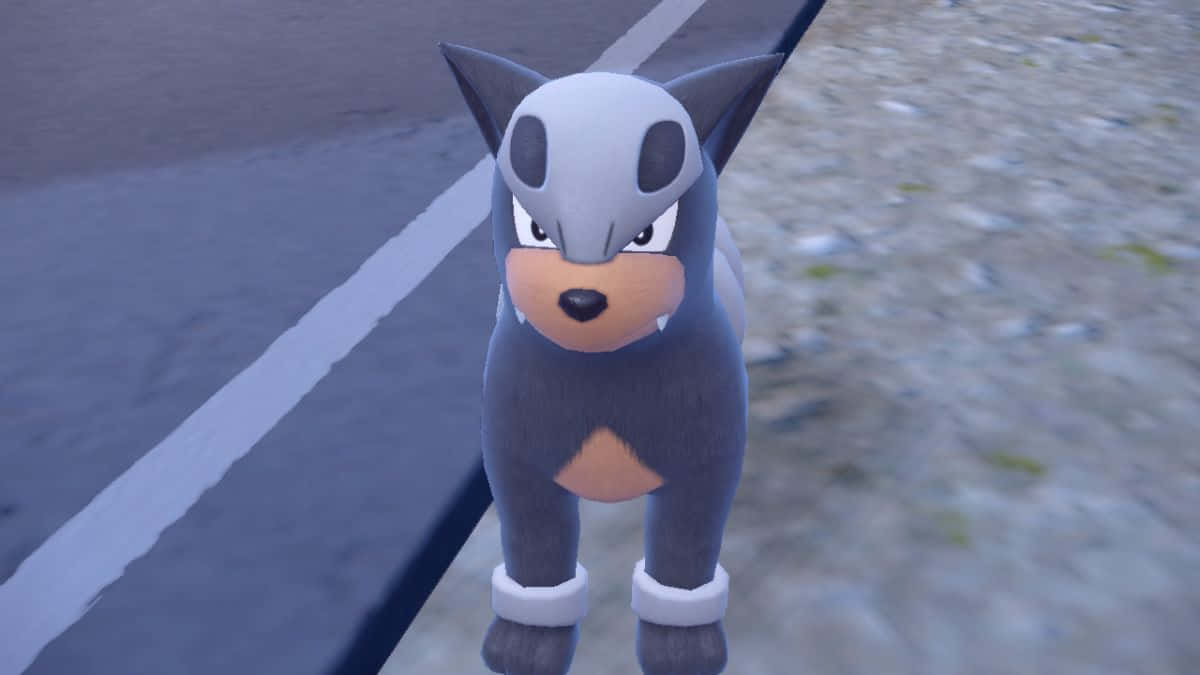 Houndour, gray, tan, SD Desktop Wallpaper
