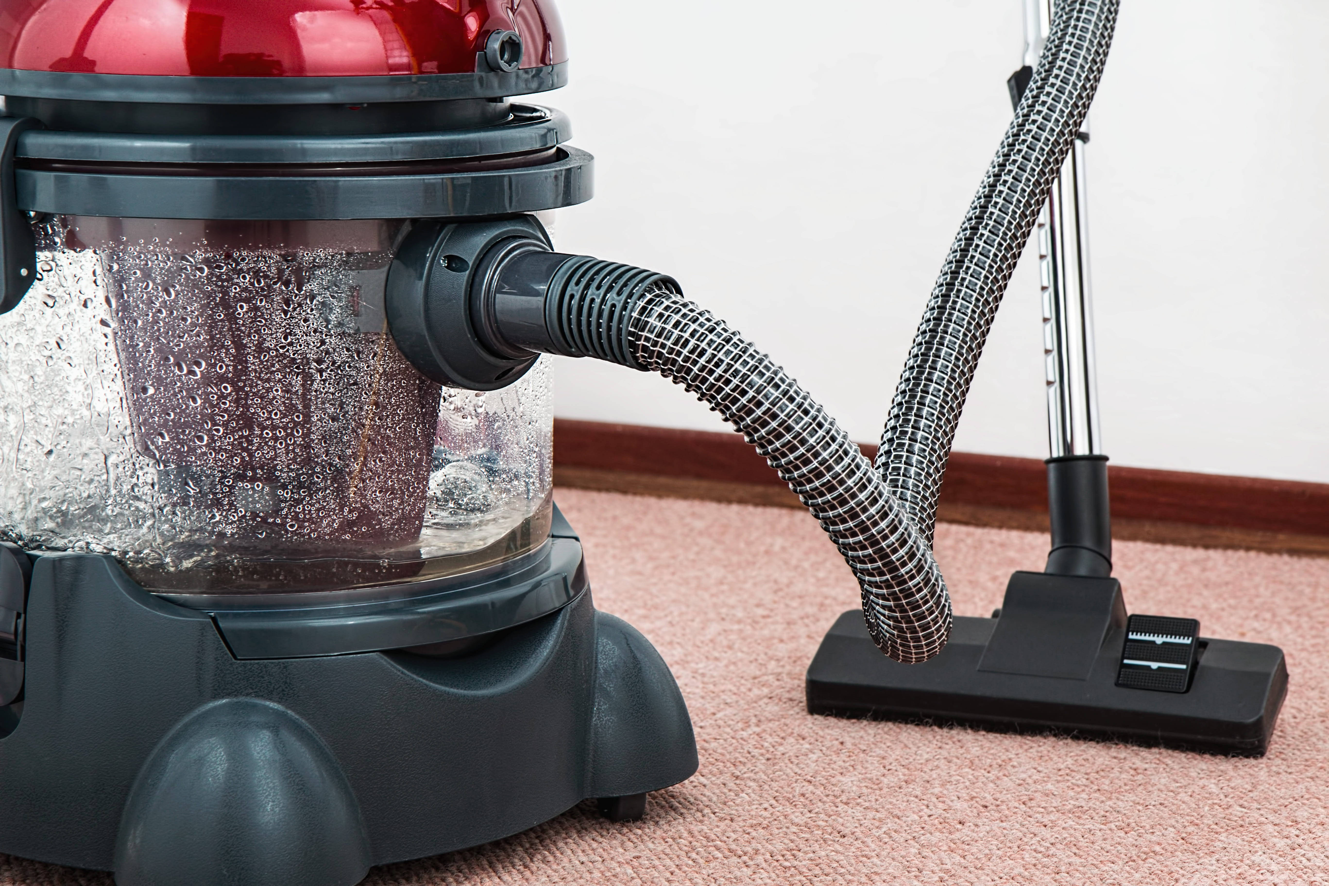 red and black vacuum cleaner, transparent dust bin, pink carpet, 5K Desktop Wallpaper