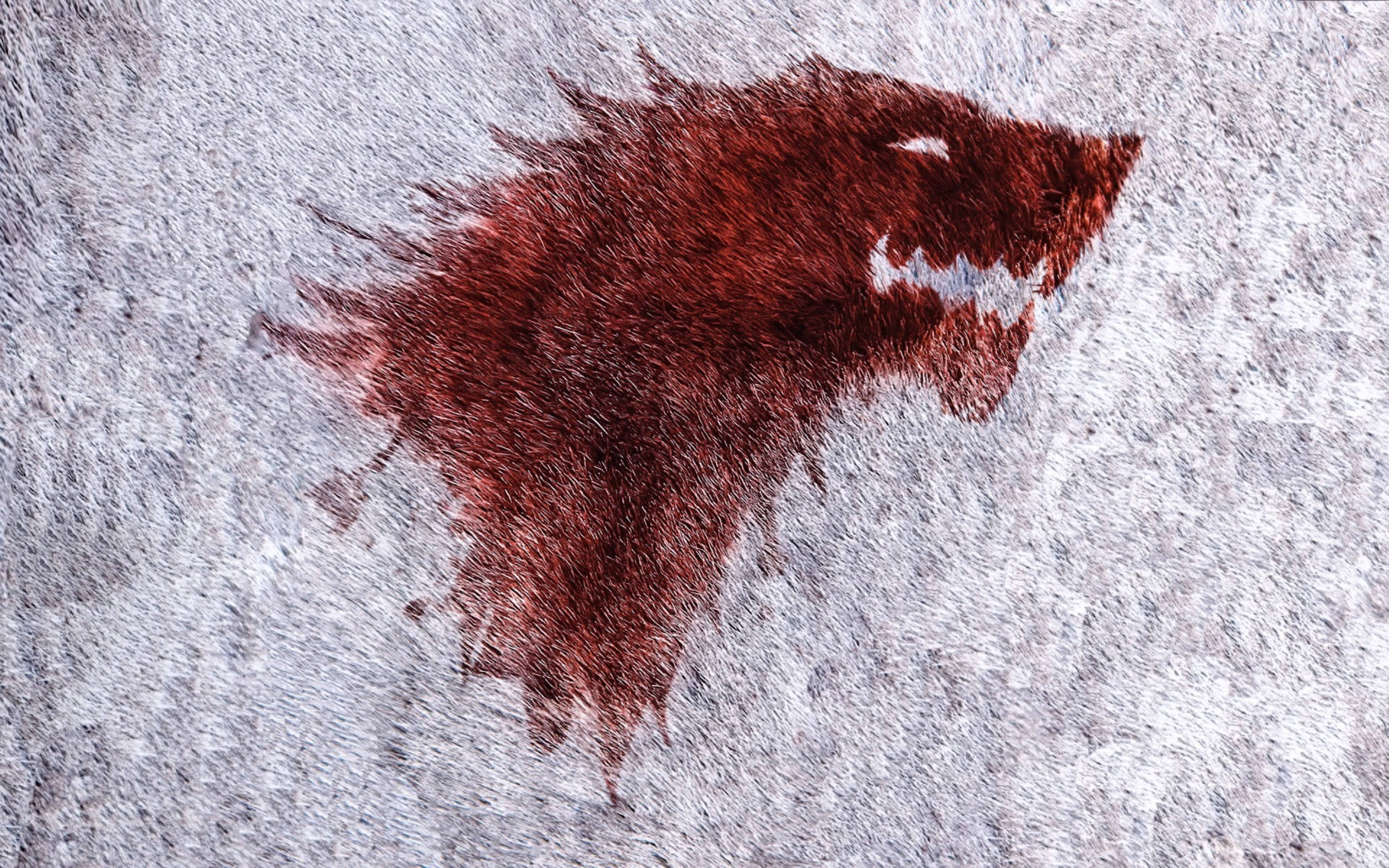 House Stark, red wolf head emblem, rough gray concrete wall, 5K Desktop Wallpaper