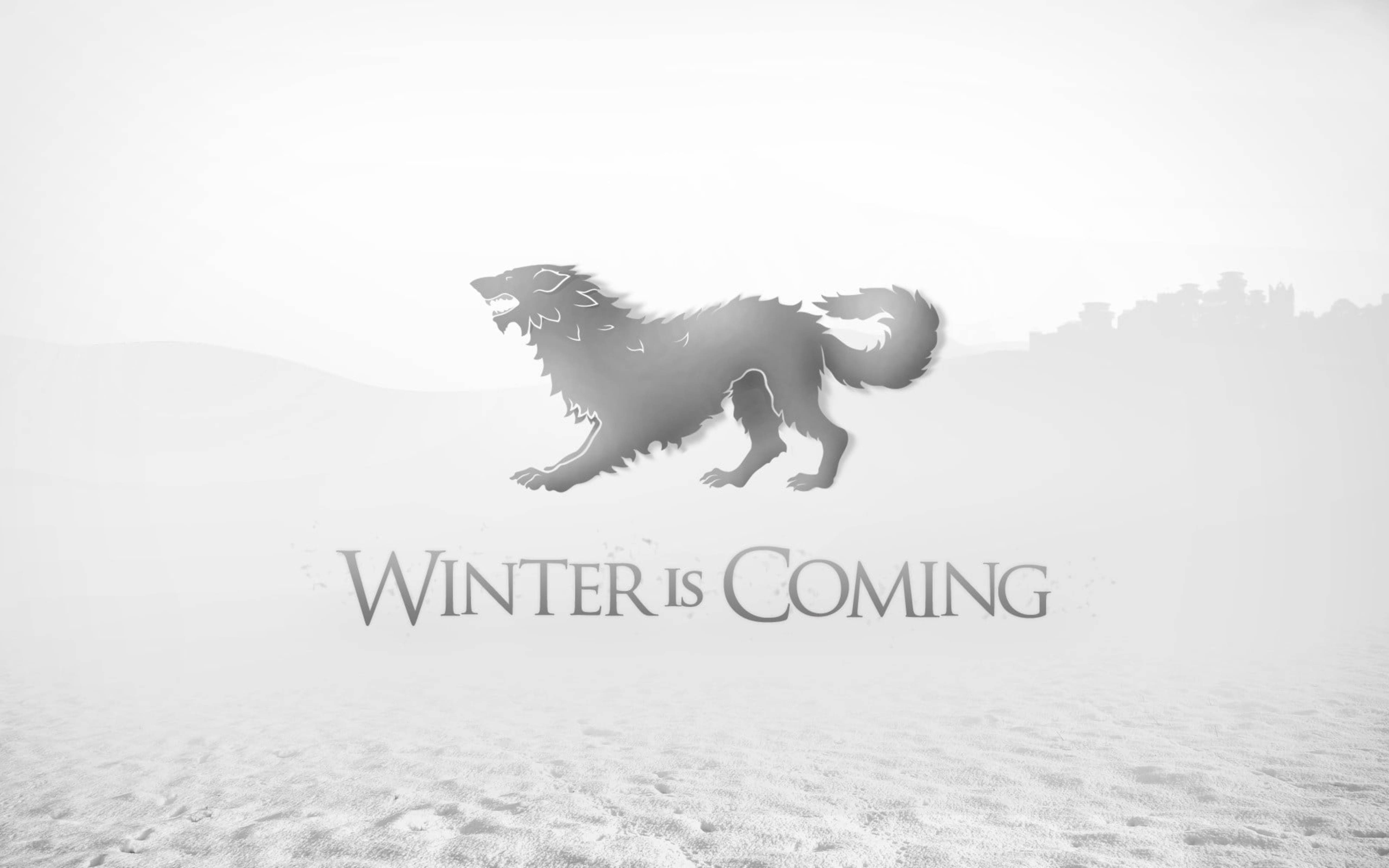House Stark, direwolf, snowy plain, 5K Desktop Wallpaper