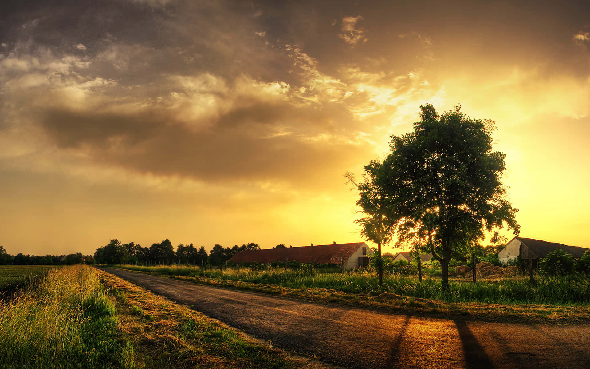 farmhouse, dirt road, golden fields, Full HD Desktop Wallpaper