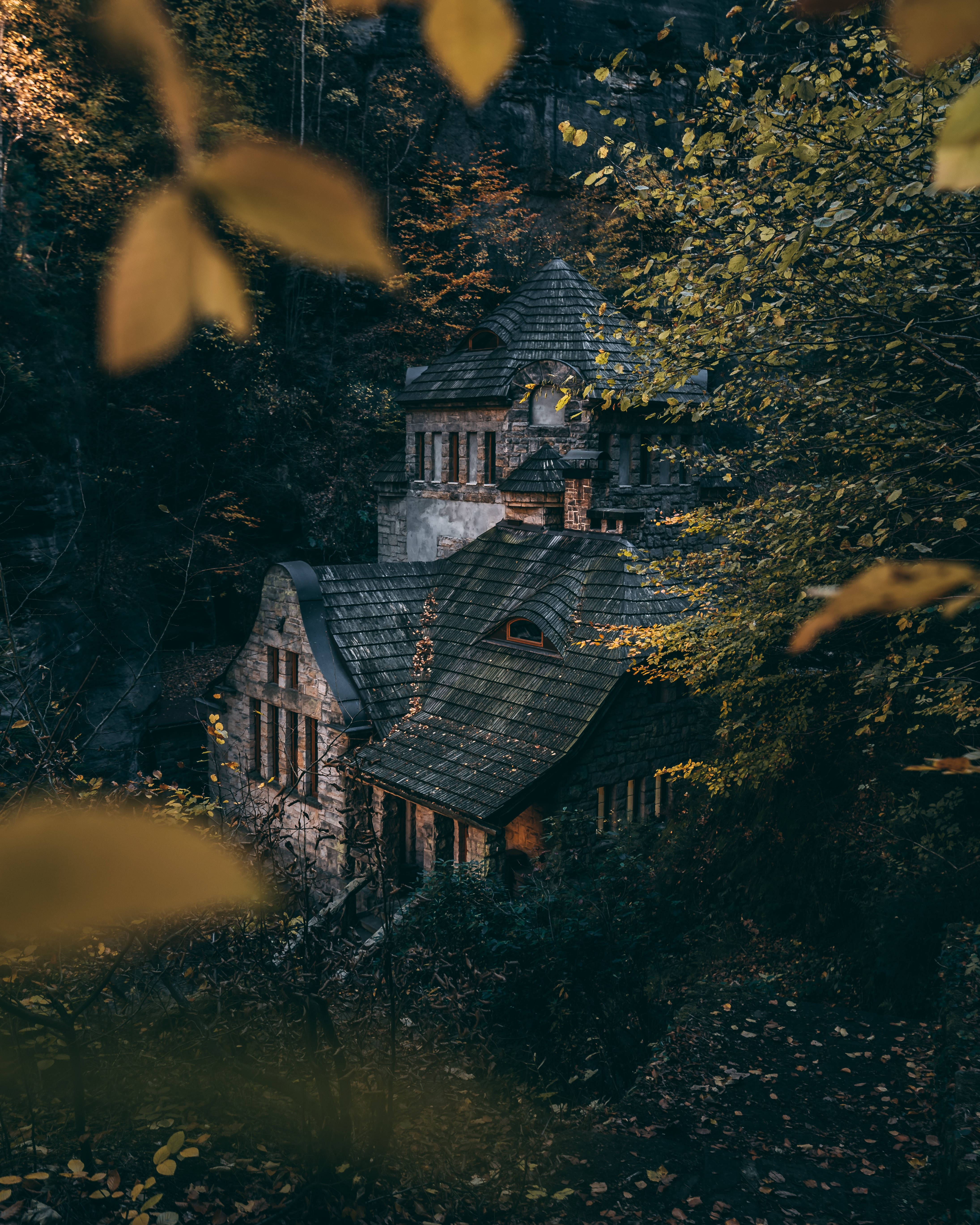 old stone house, dense forest, autumn forest, 5K Phone Wallpaper