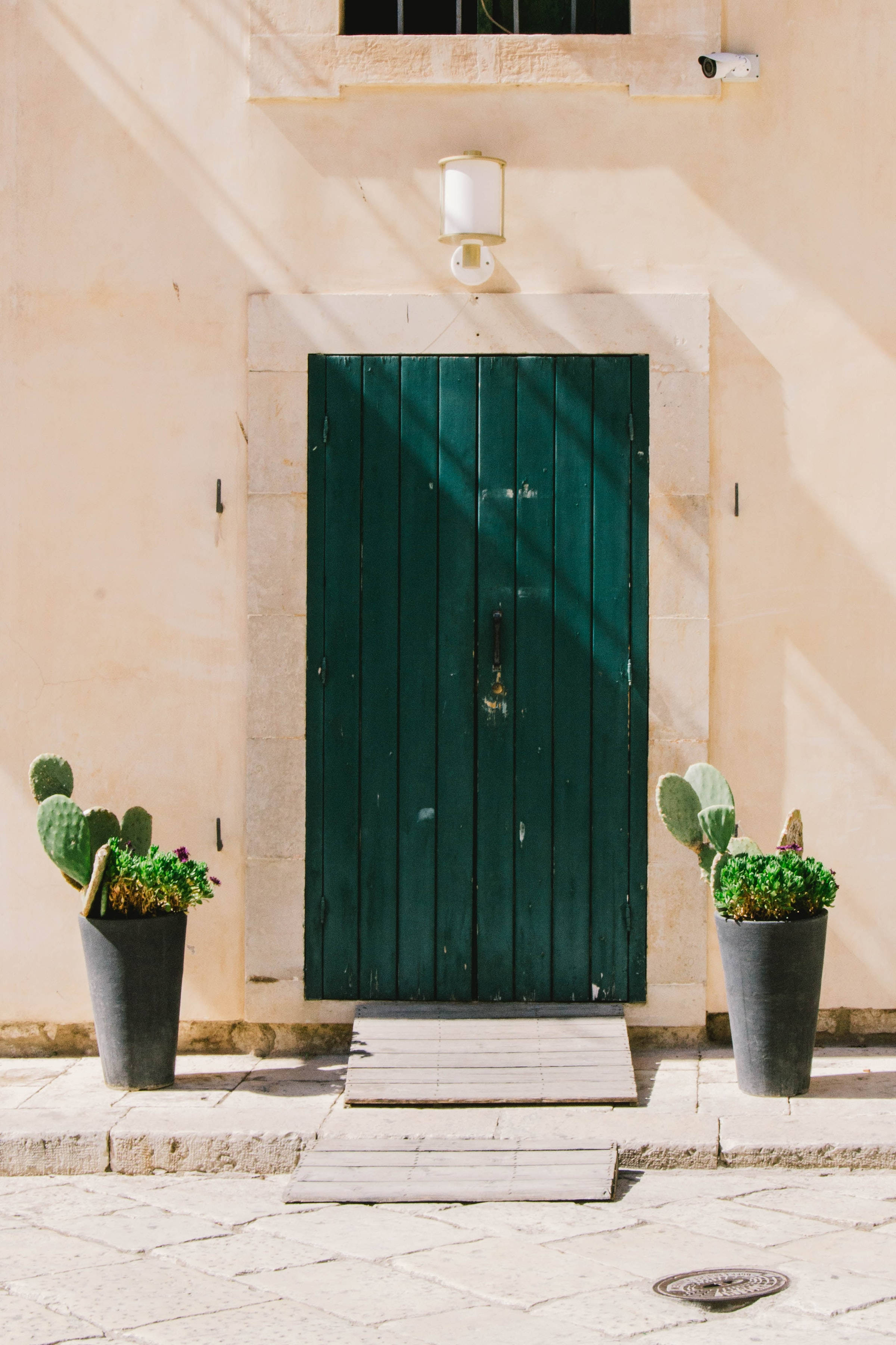 green wooden door, stone, potted cacti, 2K Phone Wallpaper