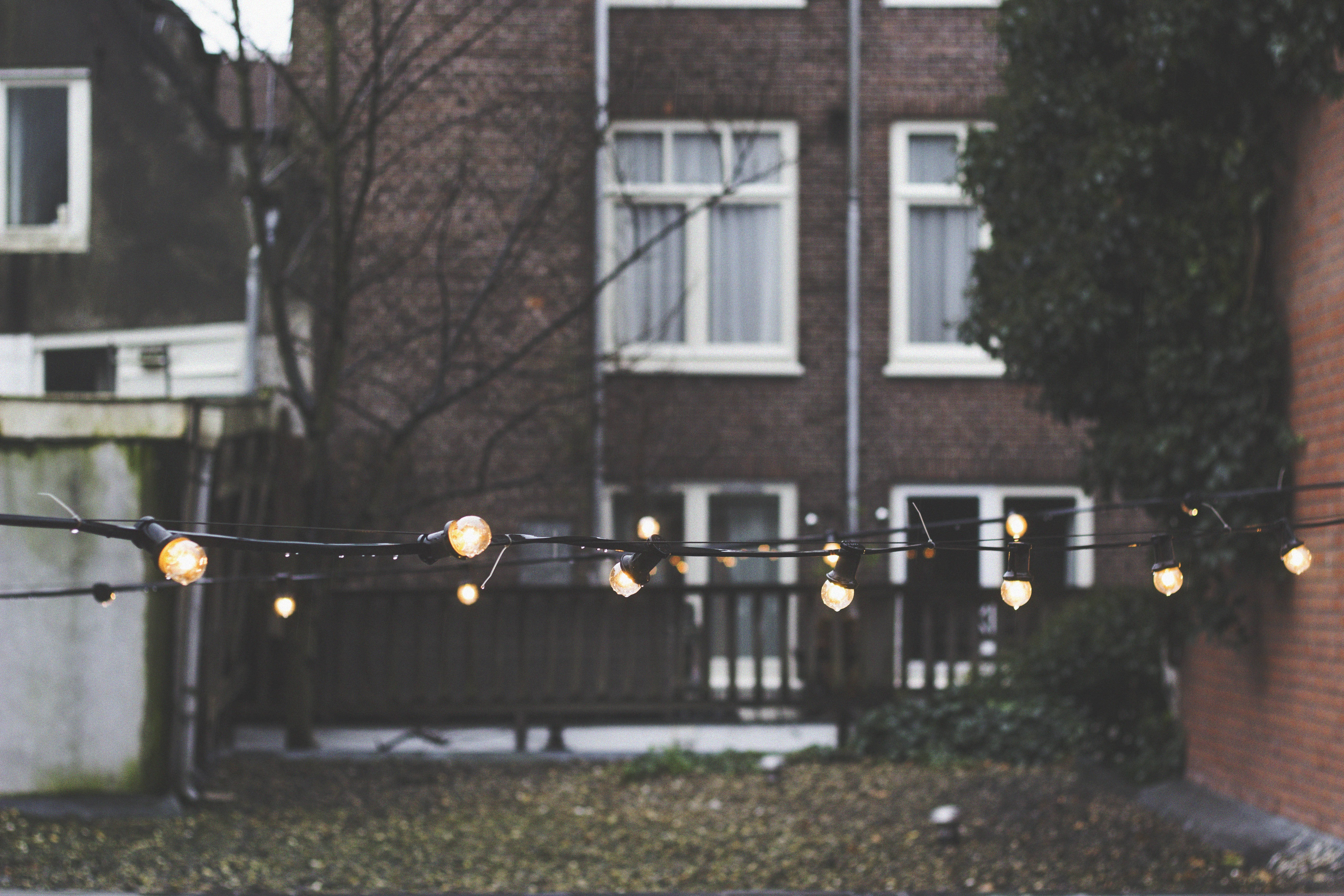 lantern lights, string lights, leaf-strewn backyard, 5K Desktop Wallpaper
