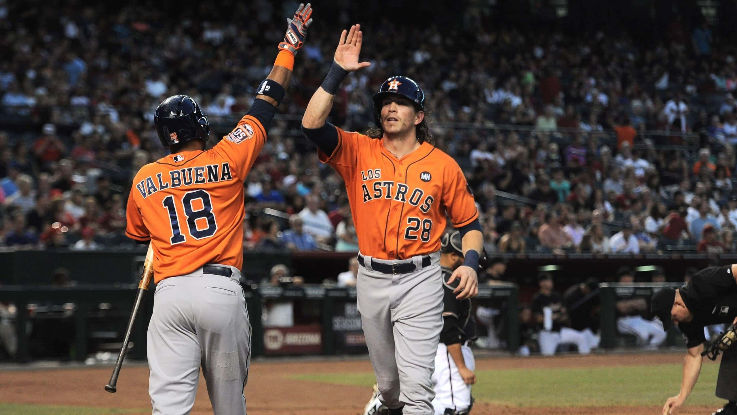 Houston Astros, orange jerseys, lit field, 2K Desktop Wallpaper