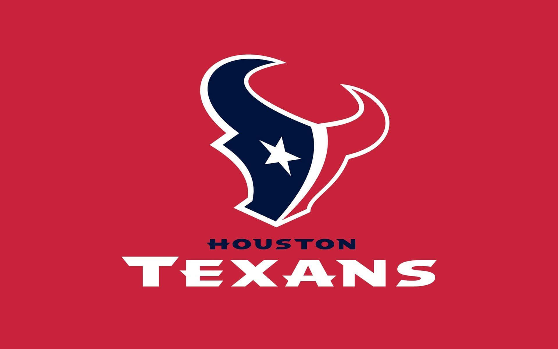 Houston Texans, white outlined bull head, star, Full HD Desktop Wallpaper