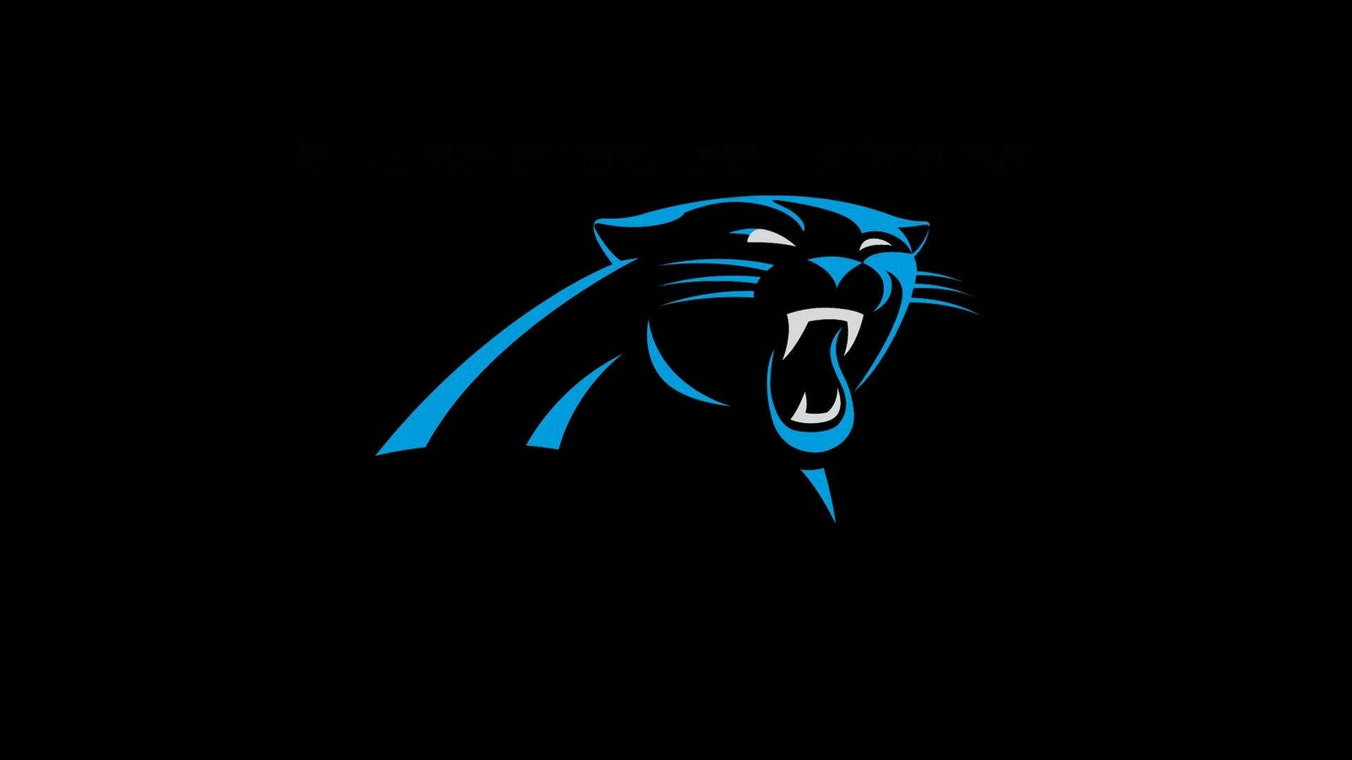 Houston Texans, blue panther logo, black background, Full HD Desktop Wallpaper