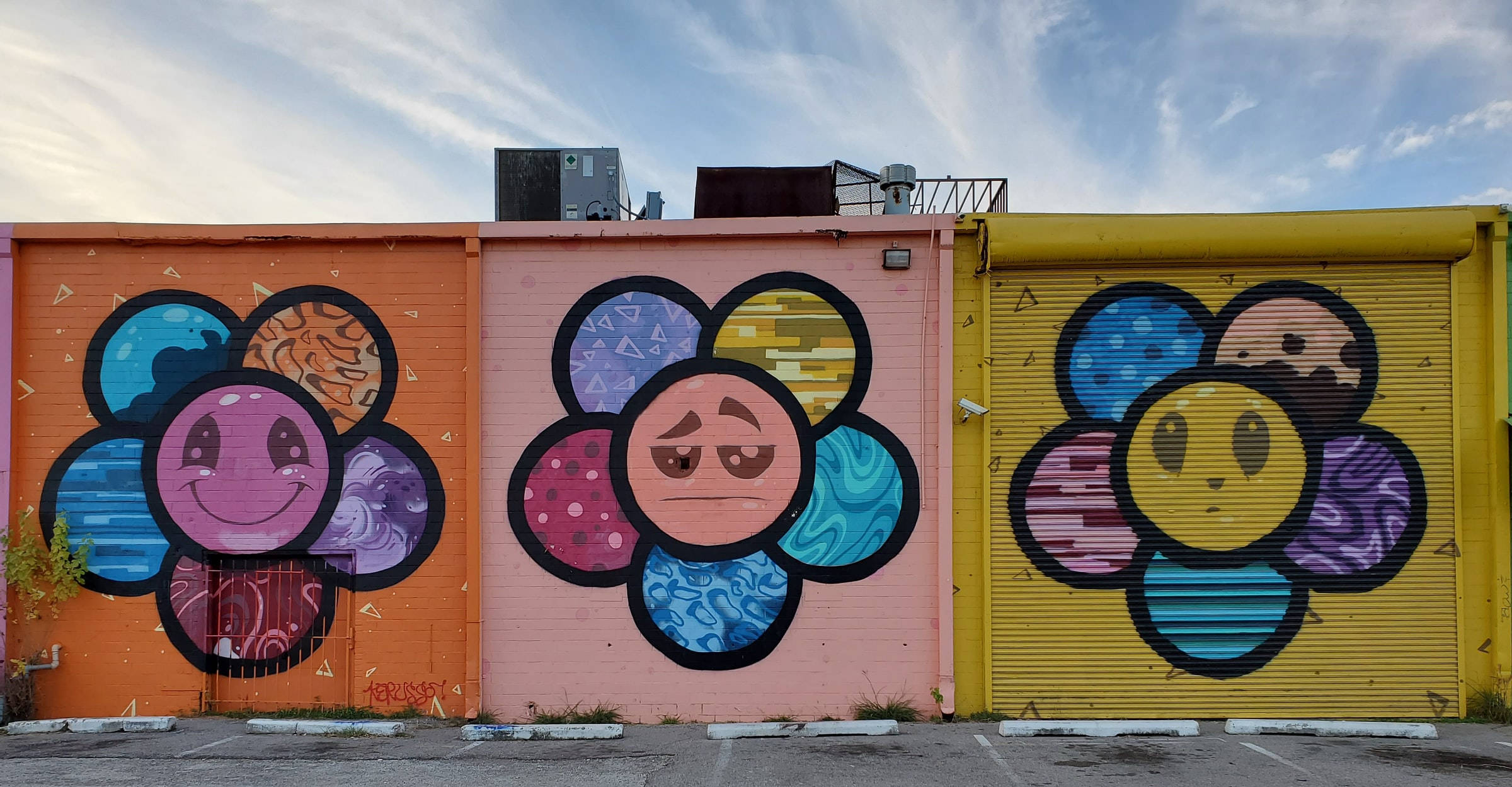 flower graffiti art, Houston, graffiti murals, Full HD Desktop Wallpaper