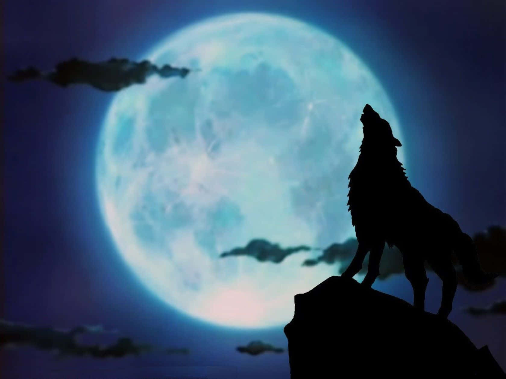 Howling Wolf, moonlit night, rocky peak, HD Desktop Wallpaper