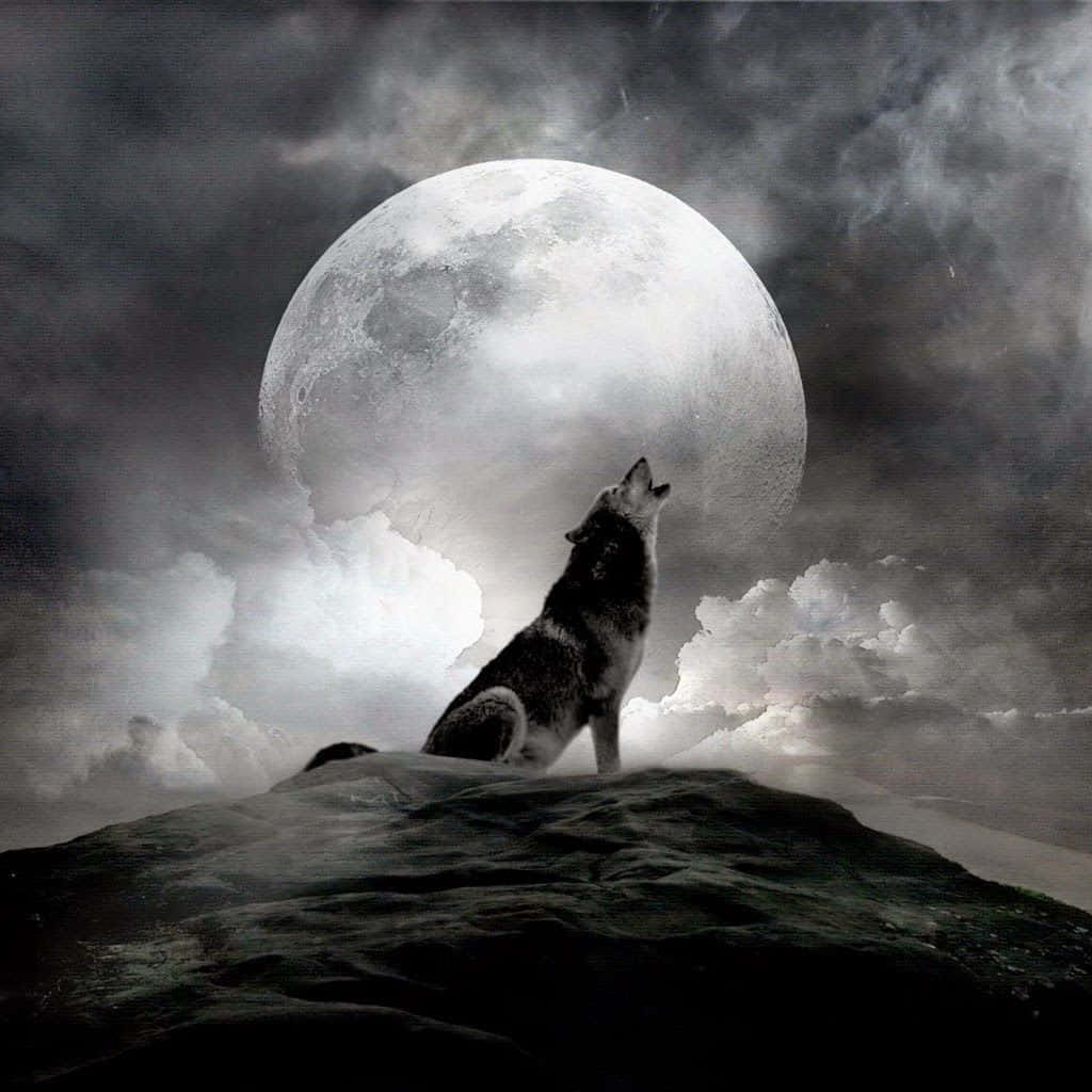 Howling Wolf, moonlit wilderness, massive moon, SD Desktop Wallpaper