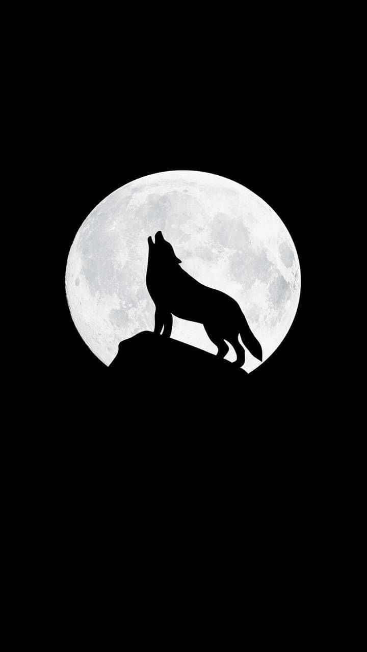 Howling Wolf, full moon, rocky peak, HD Phone Wallpaper