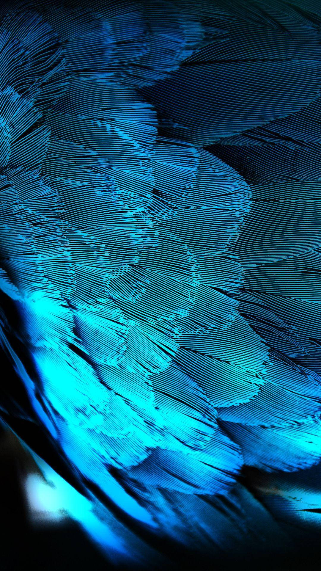Htc, metallic blue, feathers, Full HD Phone Wallpaper