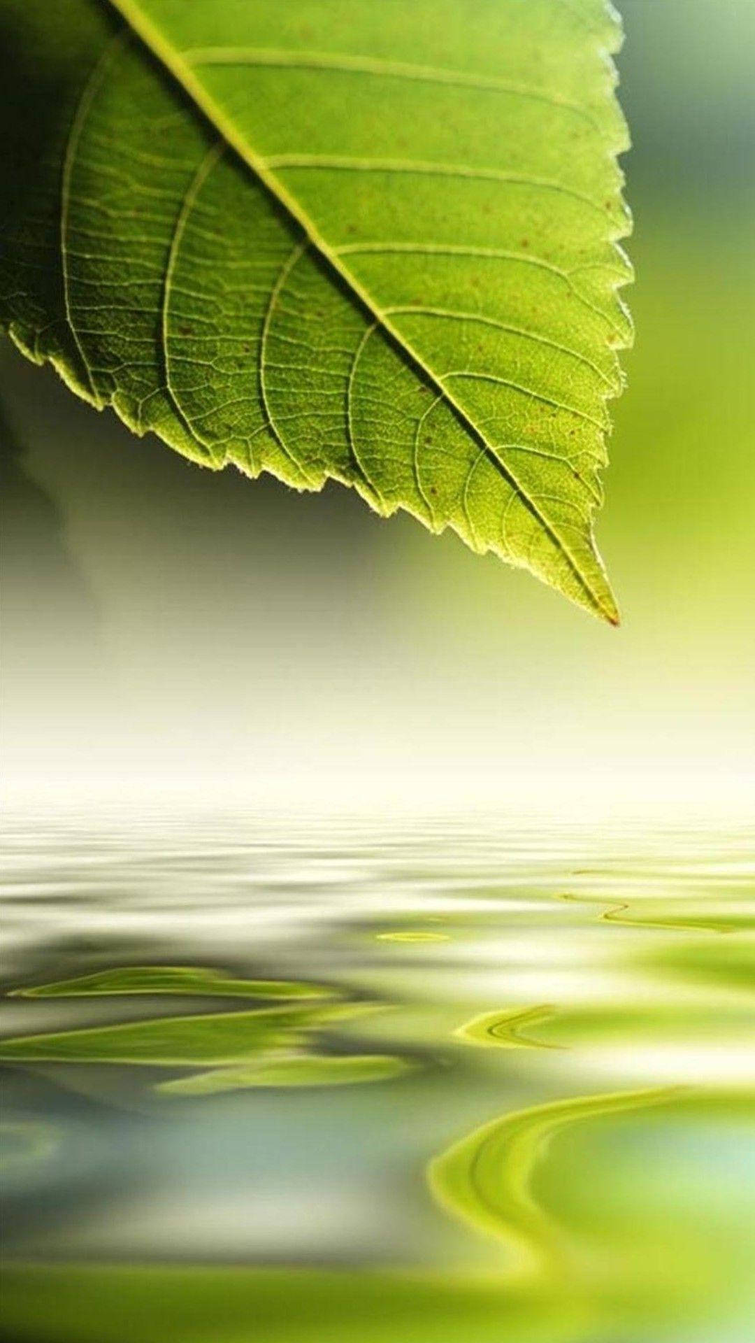 Htc, green leaf, vibrant green, Full HD Phone Wallpaper