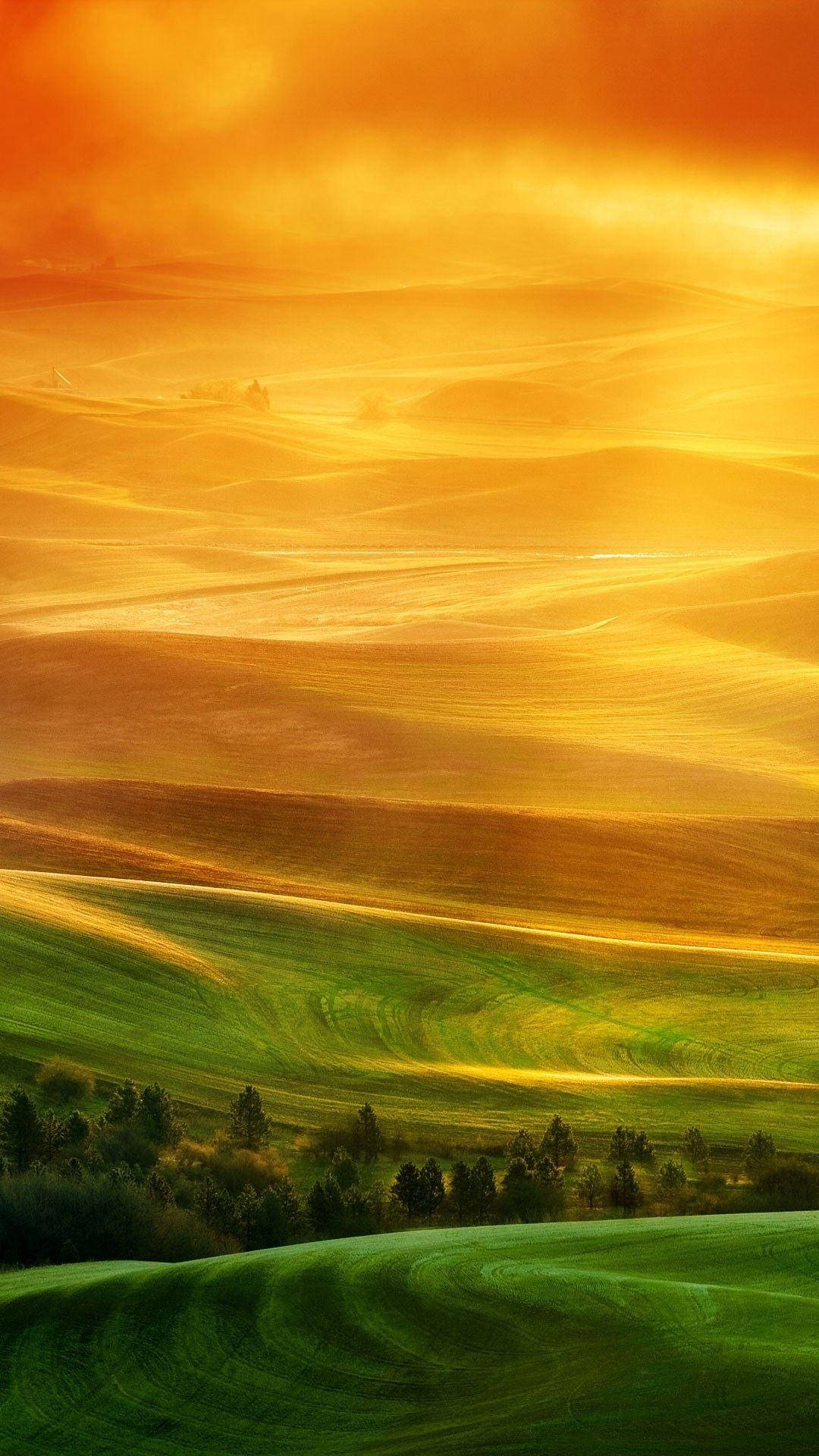 Htc, Green Pasture, Golden sunset, Full HD Phone Wallpaper