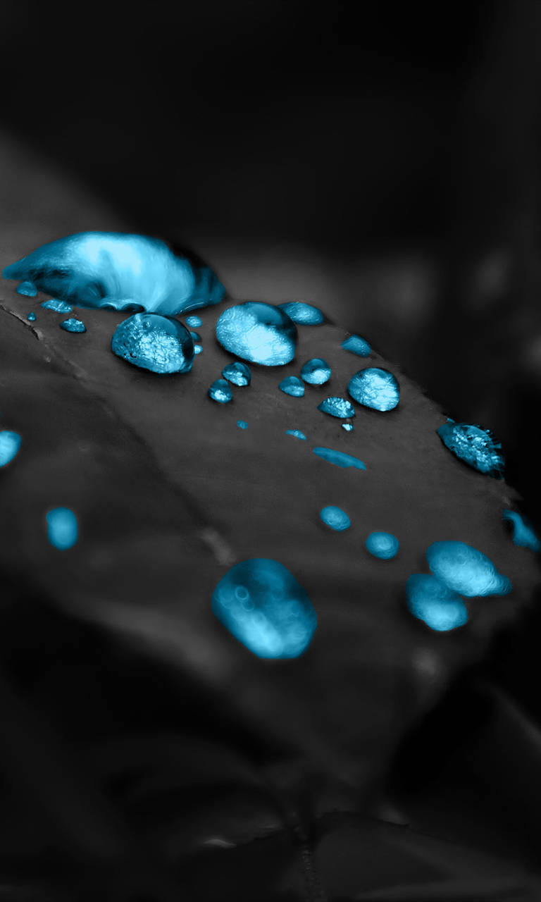 Htc, black leaf, cyan water droplets, HD Phone Wallpaper