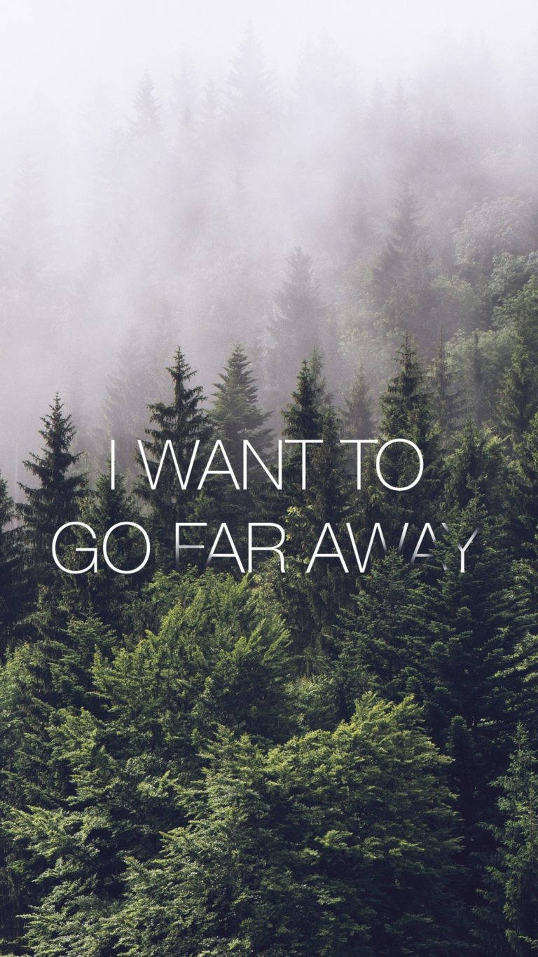Huawei Honor, misty forest, evergreen trees, HD Phone Wallpaper