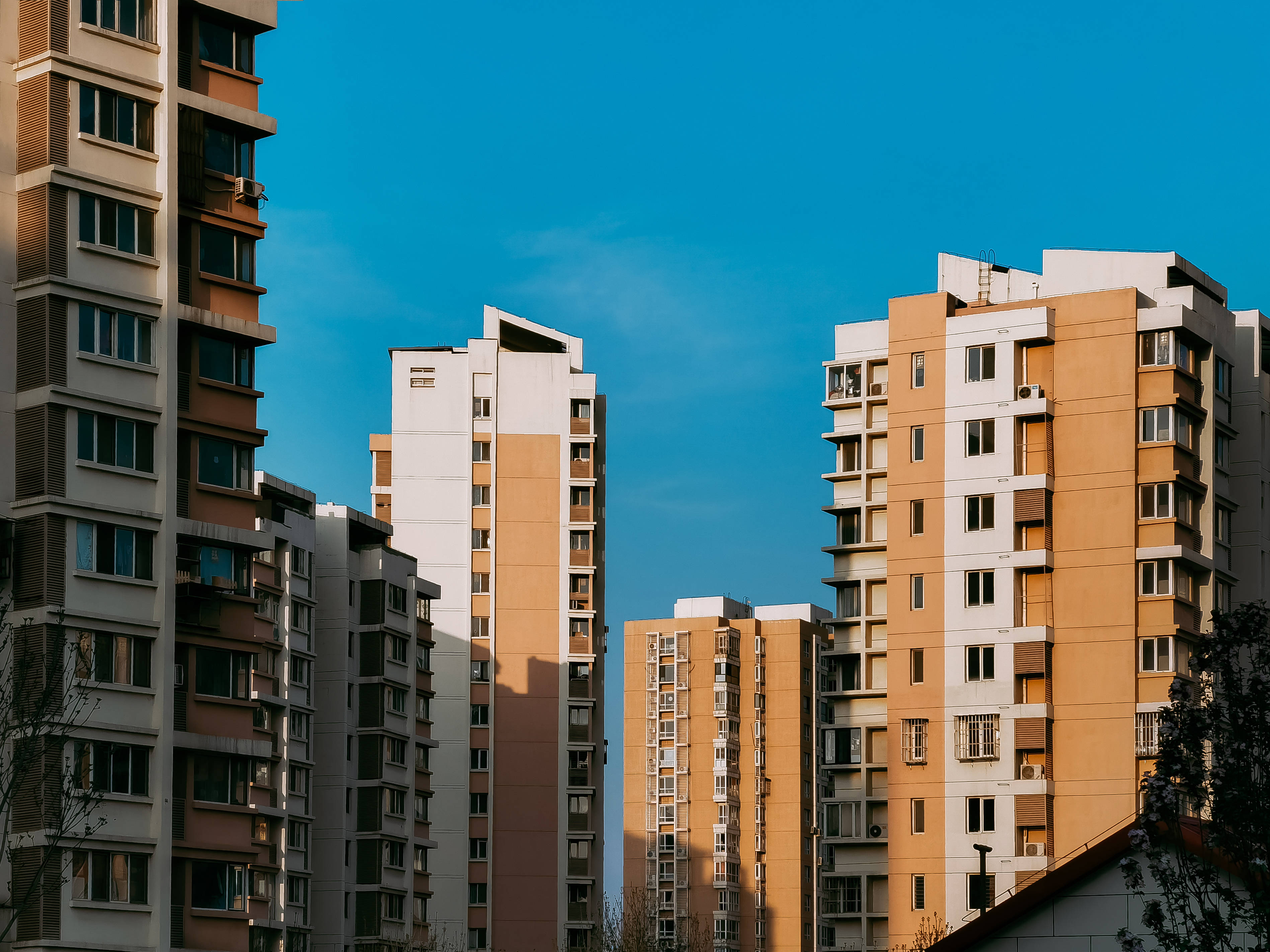 Huawei Honor, brown and white buildings, warm orange and white facades, 2K Desktop Wallpaper