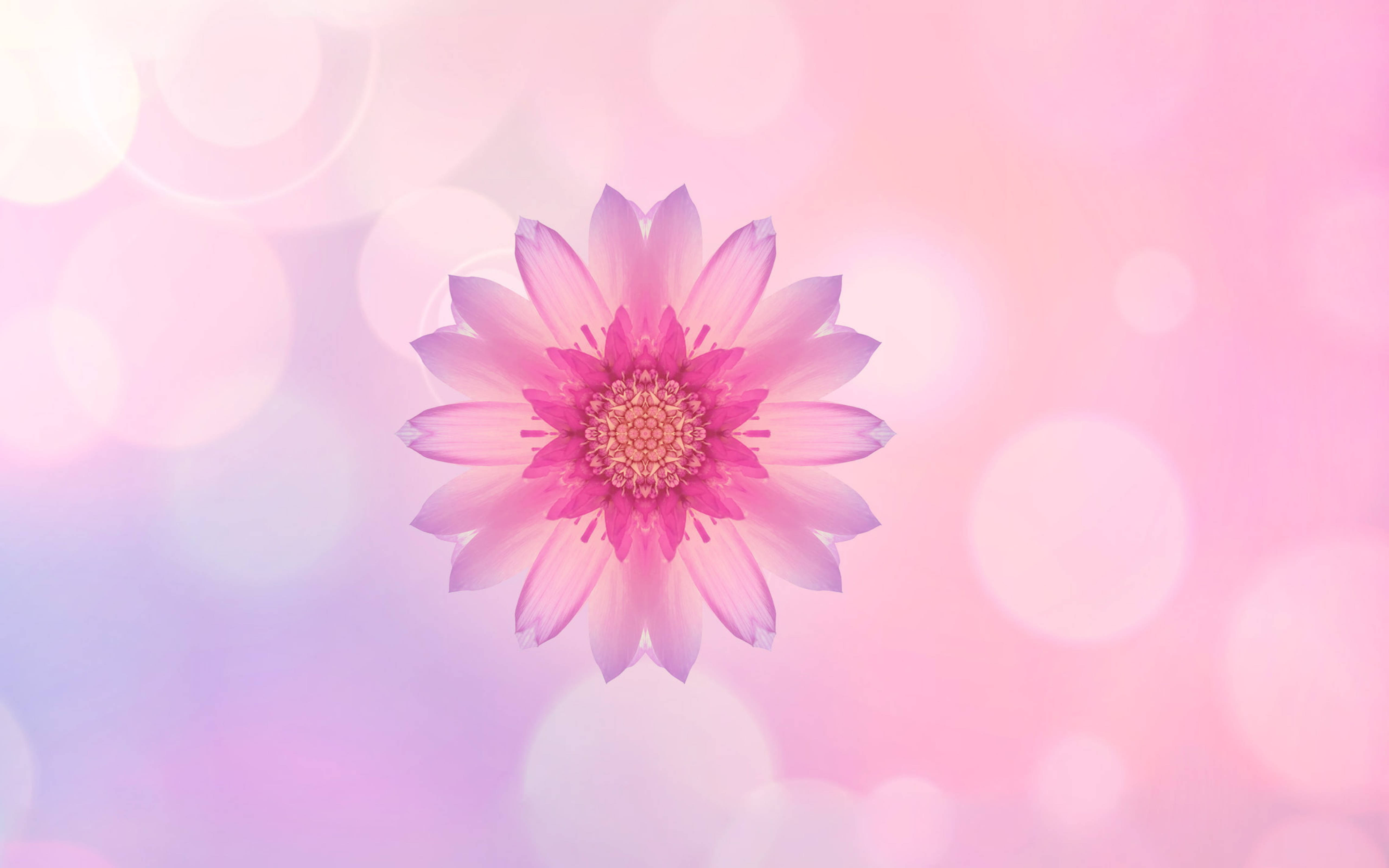 Huawei, pink flower, layered petals, 5K Desktop Wallpaper