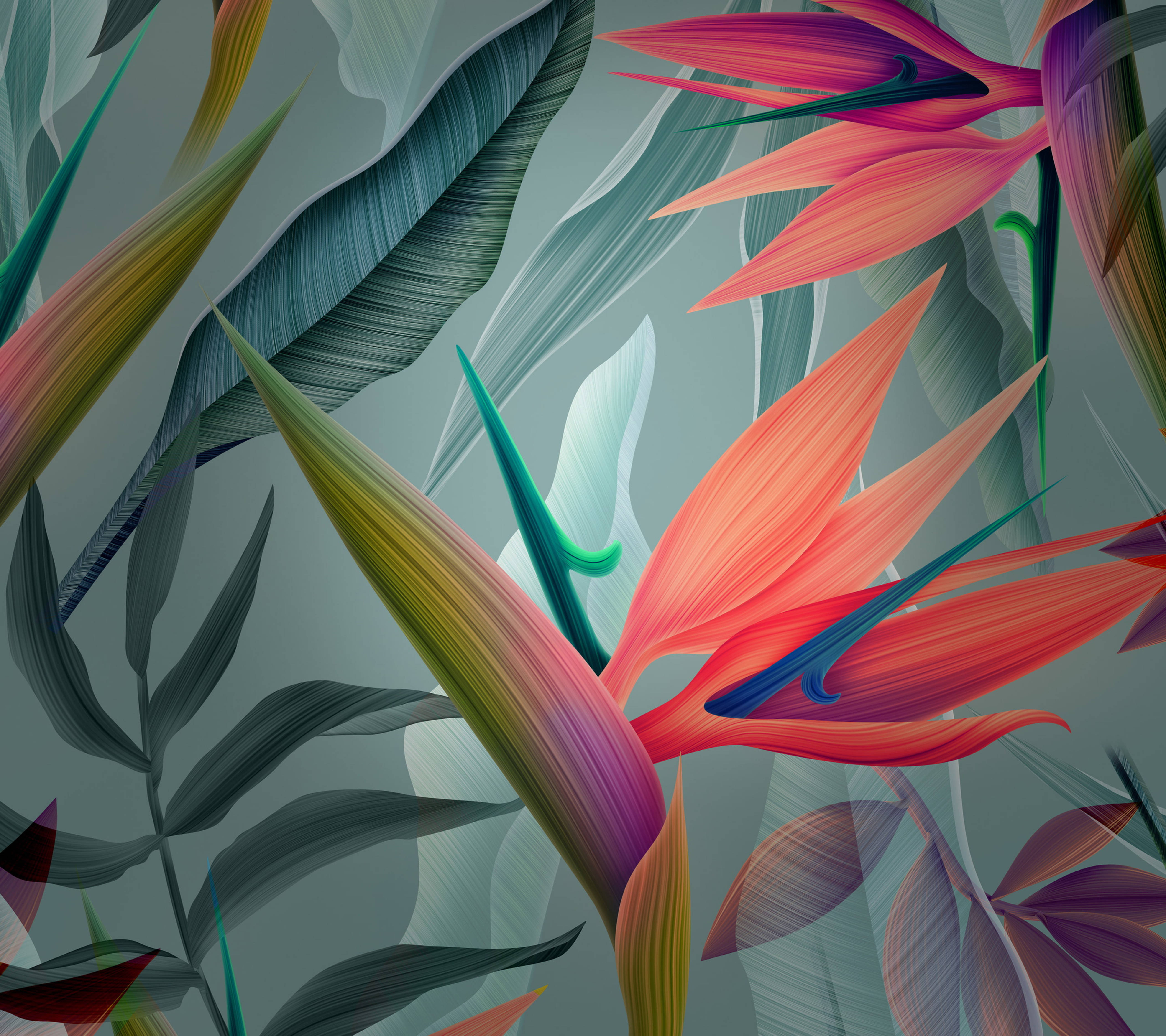 Huawei, leaves painting, tropical bird of paradise flowers, 5K Desktop Wallpaper