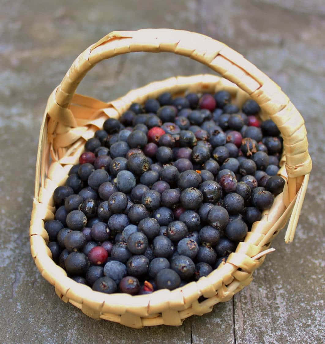 basket of huckleberries, woven basket, plump dark berries, SD Phone Wallpaper