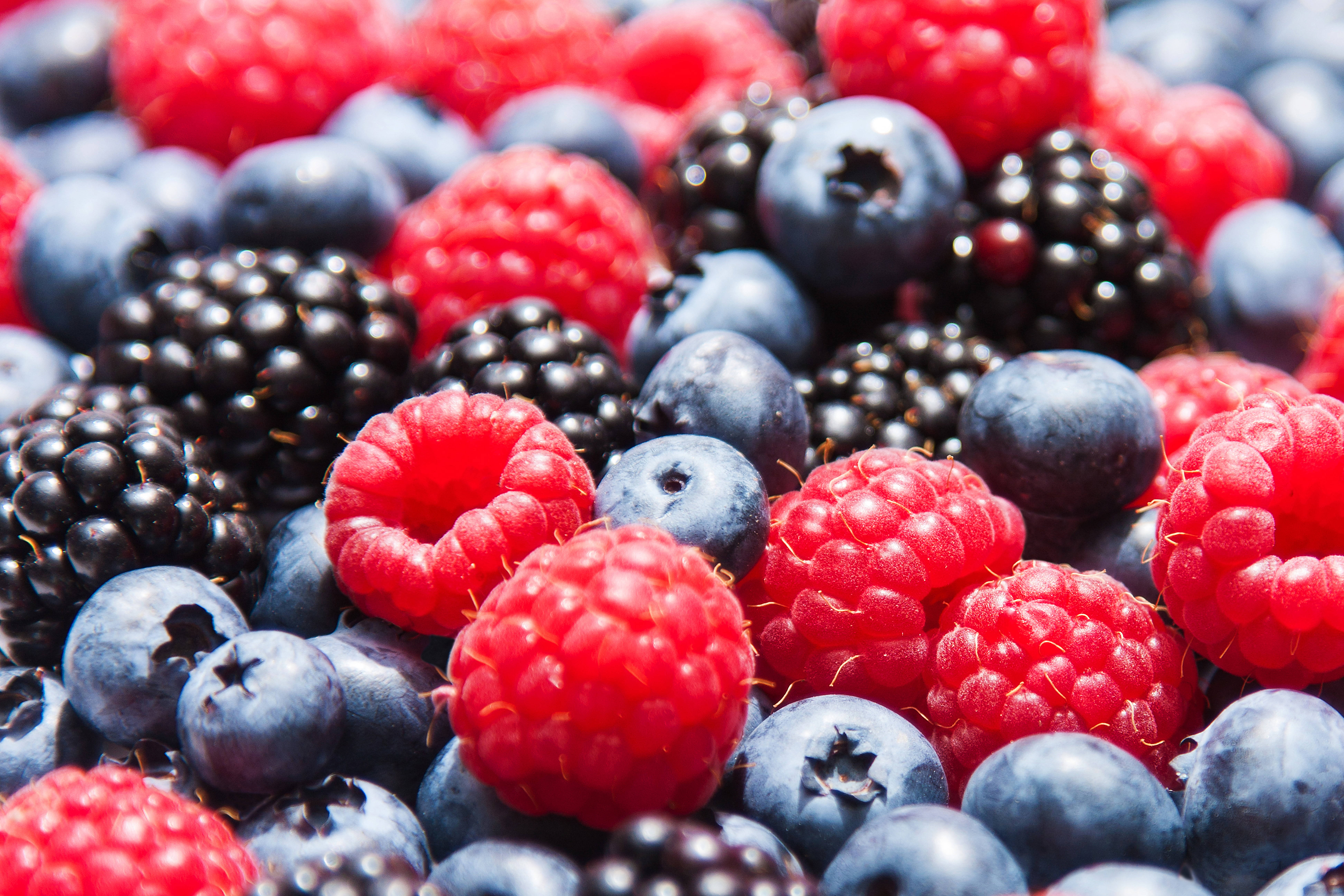 Huckleberry, redberries, blackberries, 8K Desktop Wallpaper