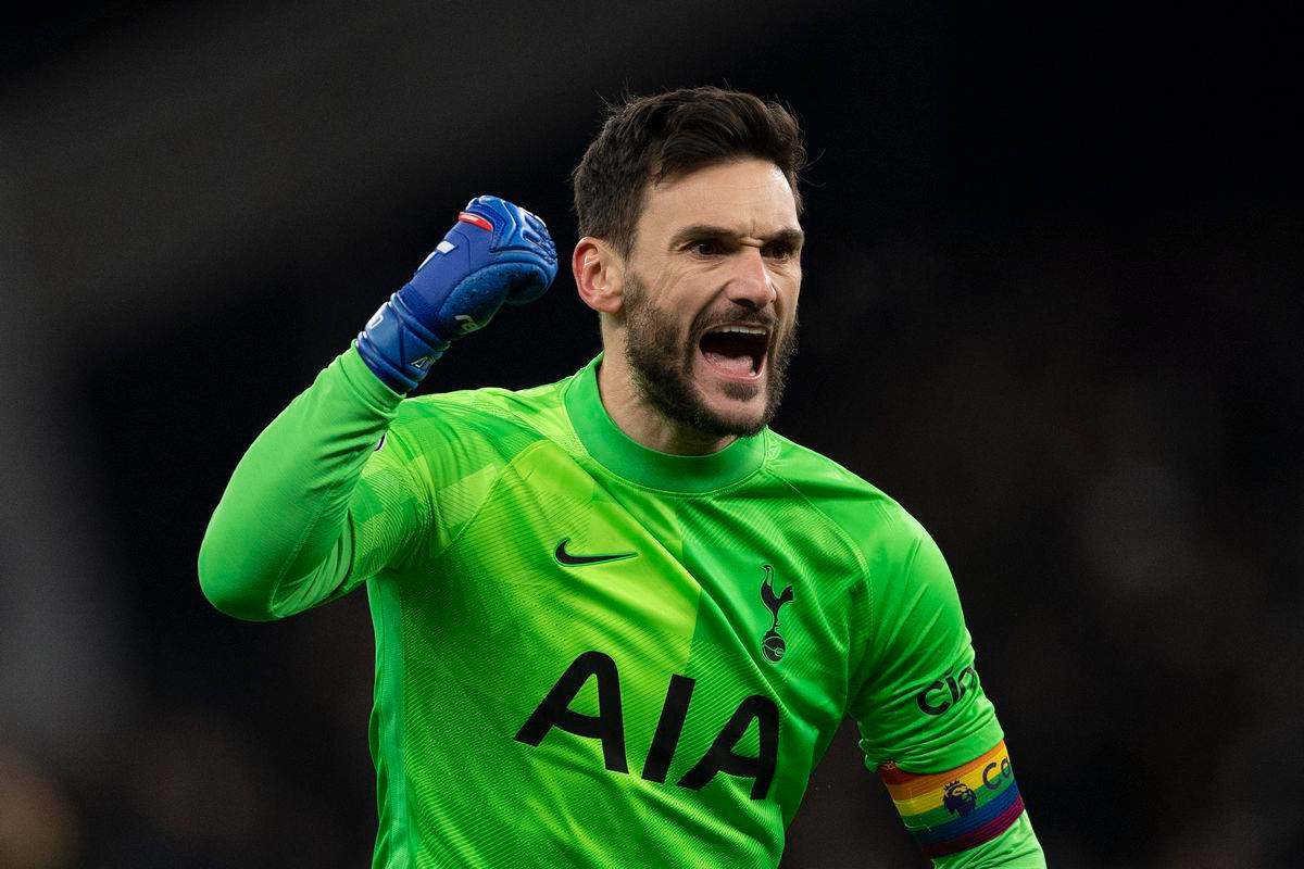 Hugo Lloris, fist pump, bright green jersey, SD Desktop Wallpaper