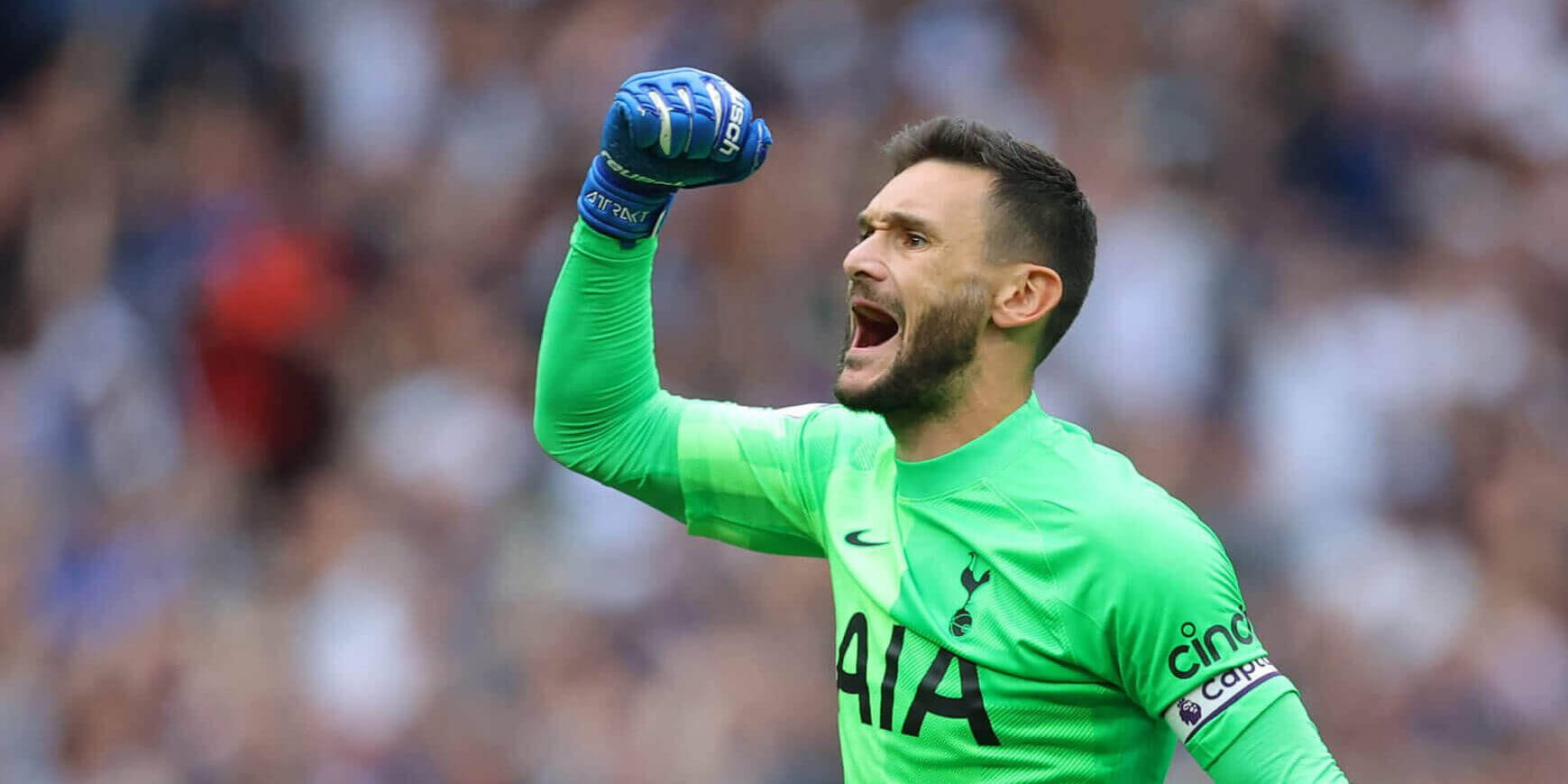 Hugo Lloris, bright green jersey, packed stadium, HD Desktop Wallpaper