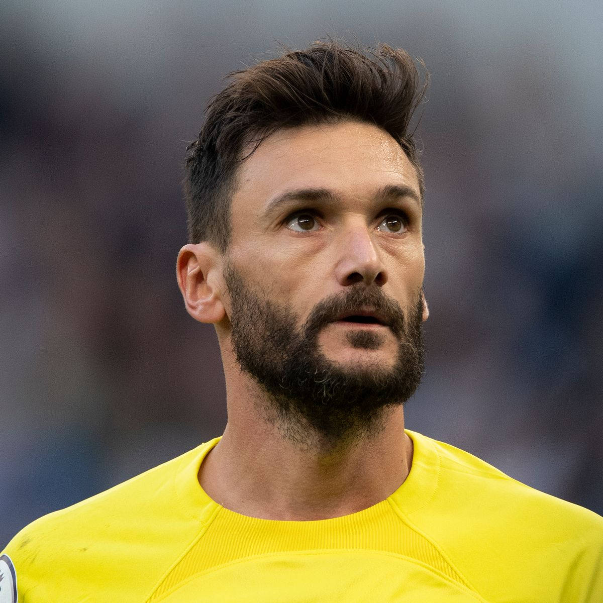 Hugo Lloris, bright yellow jersey, soccer goalkeeper, SD Desktop Wallpaper