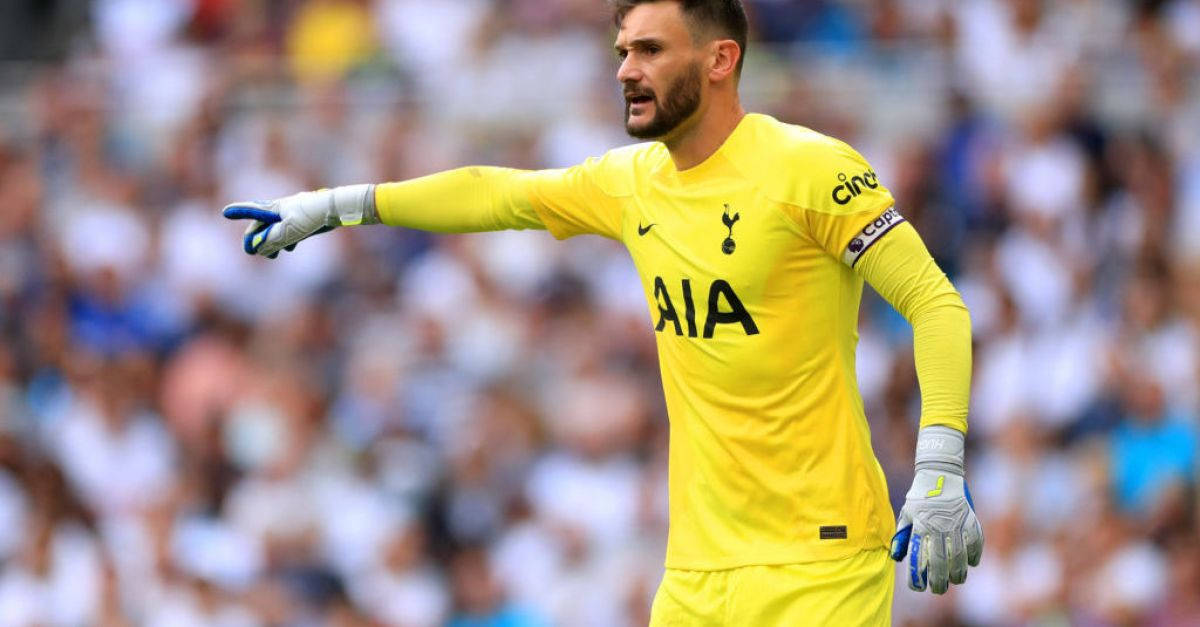 Hugo Lloris, bright yellow kit, daytime match, SD Desktop Wallpaper