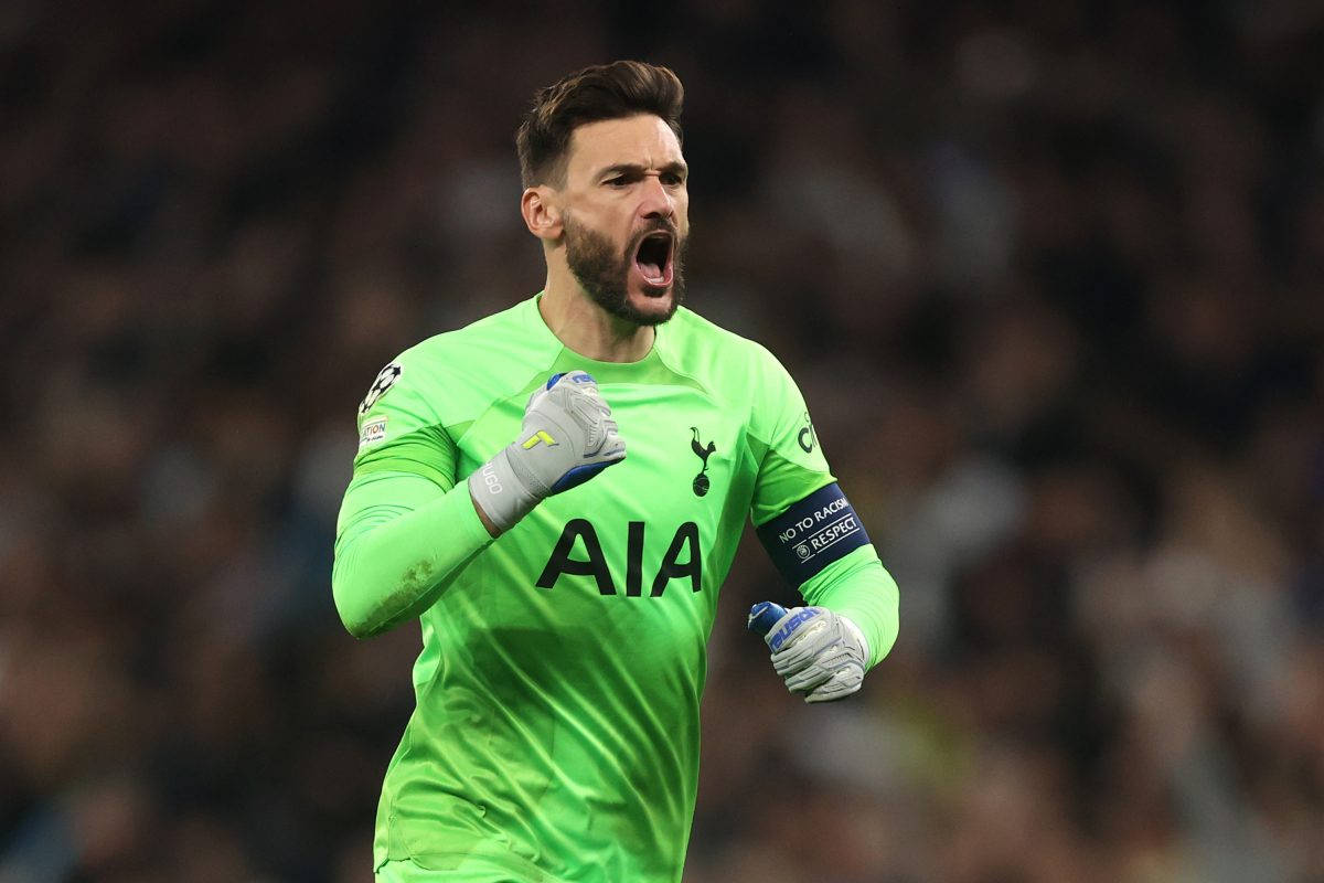 Hugo Lloris, fist pump, cheering, SD Desktop Wallpaper