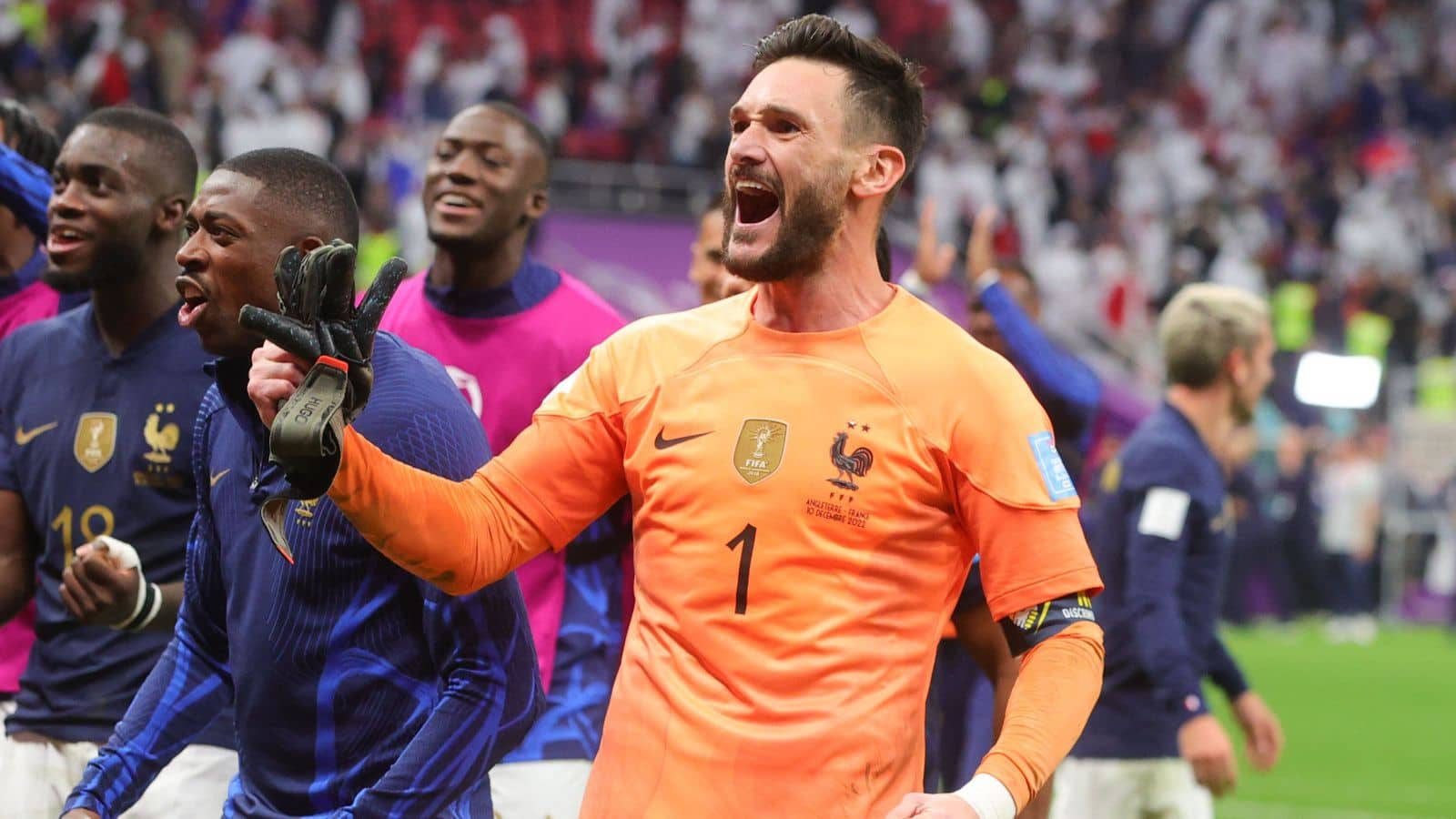 Hugo Lloris, French football goalkeeper, vibrant green pitch, HD Desktop Wallpaper
