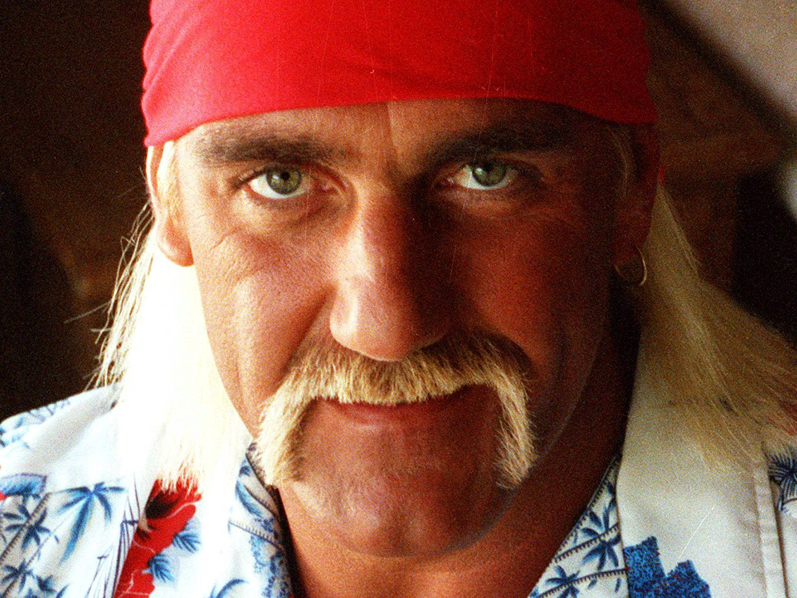 Hulk Hogan, horseshoe moustache, red bandana, HD Desktop Wallpaper
