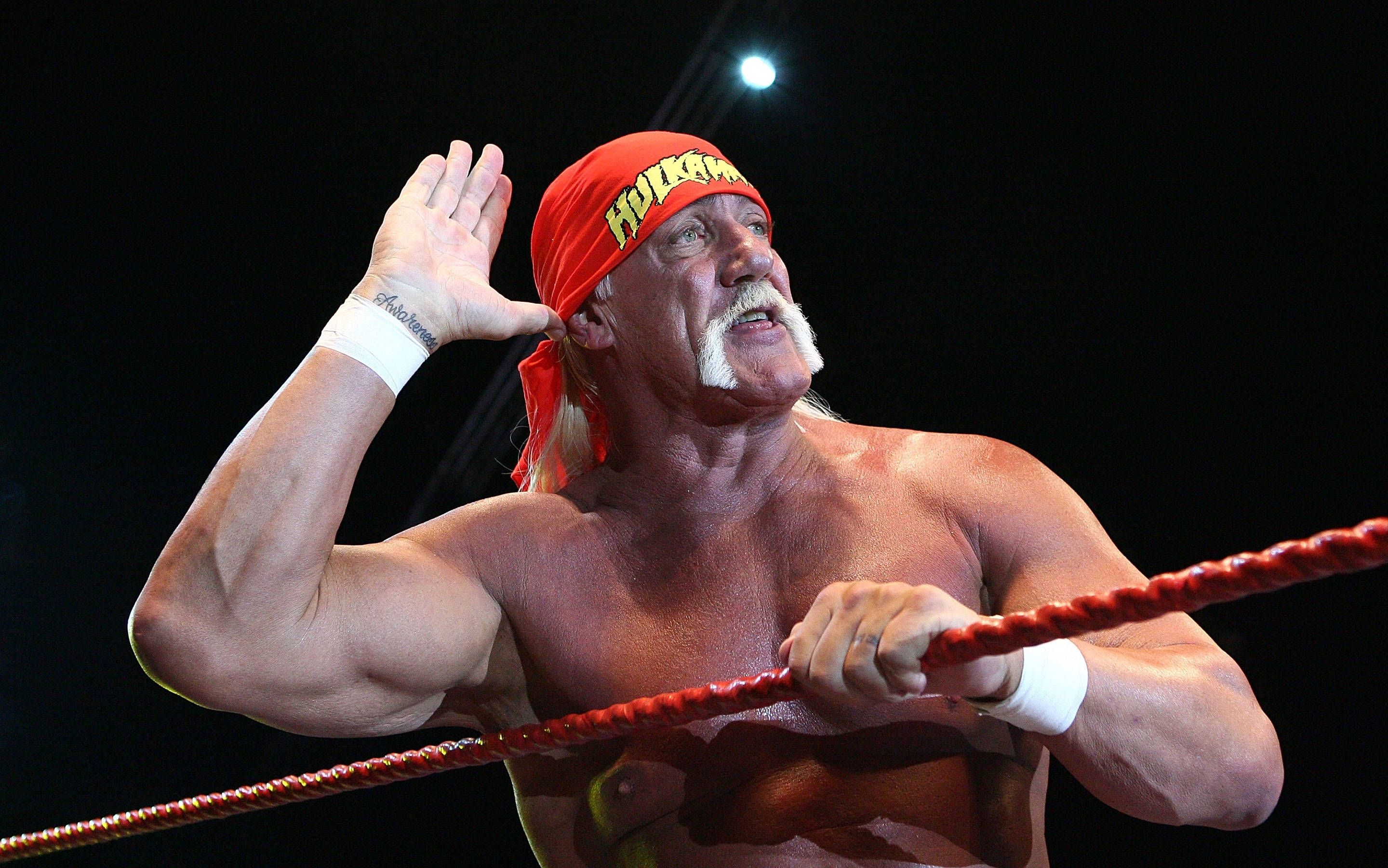 Hulk Hogan, wrestling ring, red bandana, 2K Desktop Wallpaper