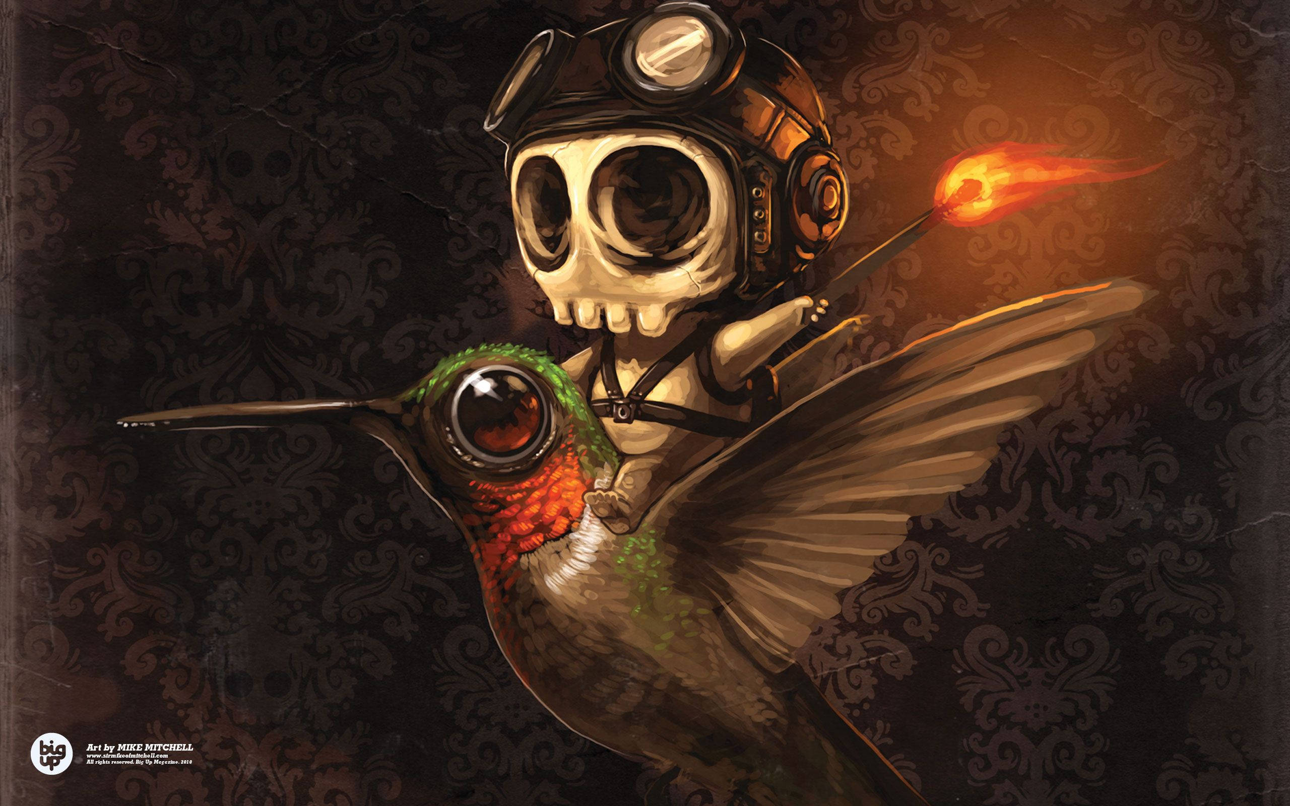 hummingbird, skeletal pilot, goggles, 2K Desktop Wallpaper