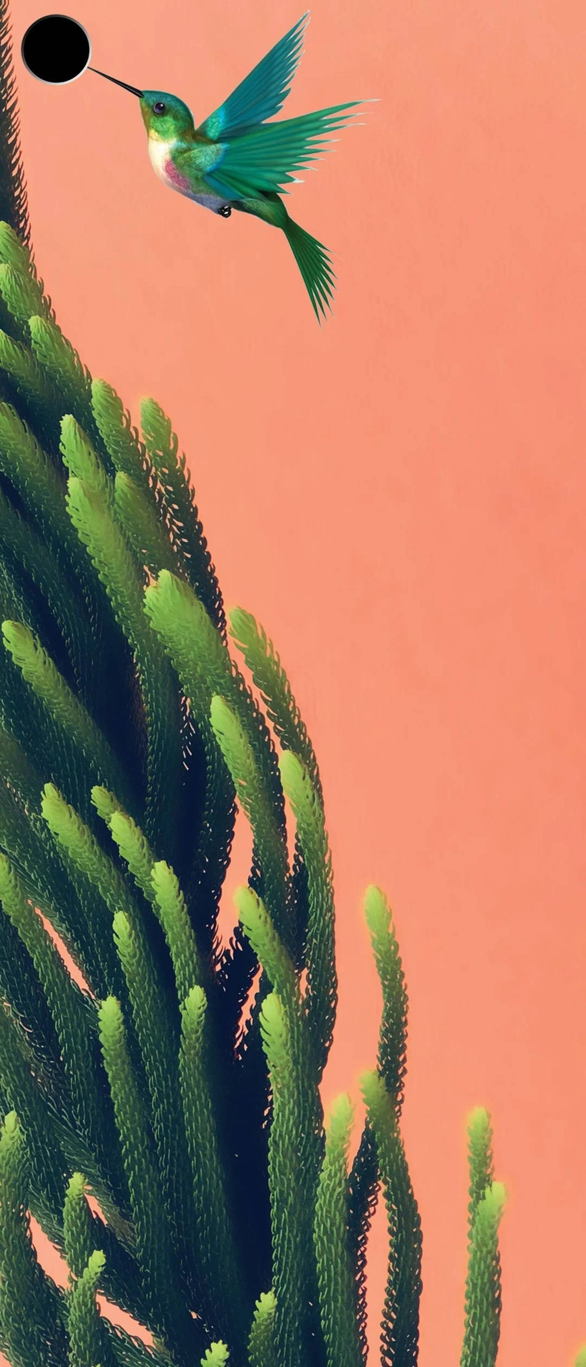 turquoise hummingbird, spiky green succulent, coral pink sky, 4K Phone Wallpaper
