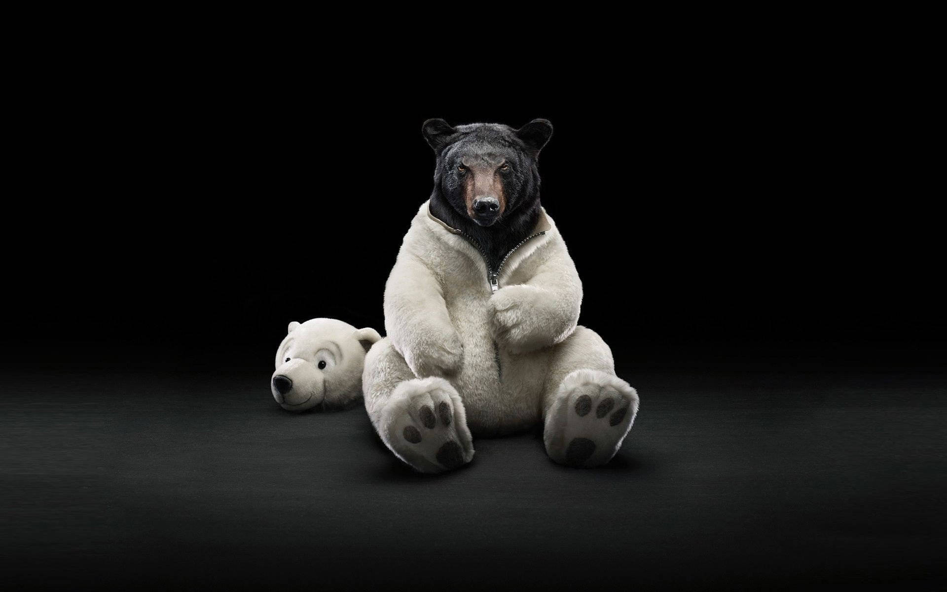 black bear, white puffer jacket, plush polar bear toy, Full HD Desktop Wallpaper
