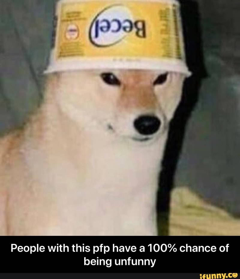 shiba inu, yellow Becel margarine tub, deadpan expression, SD Phone Wallpaper