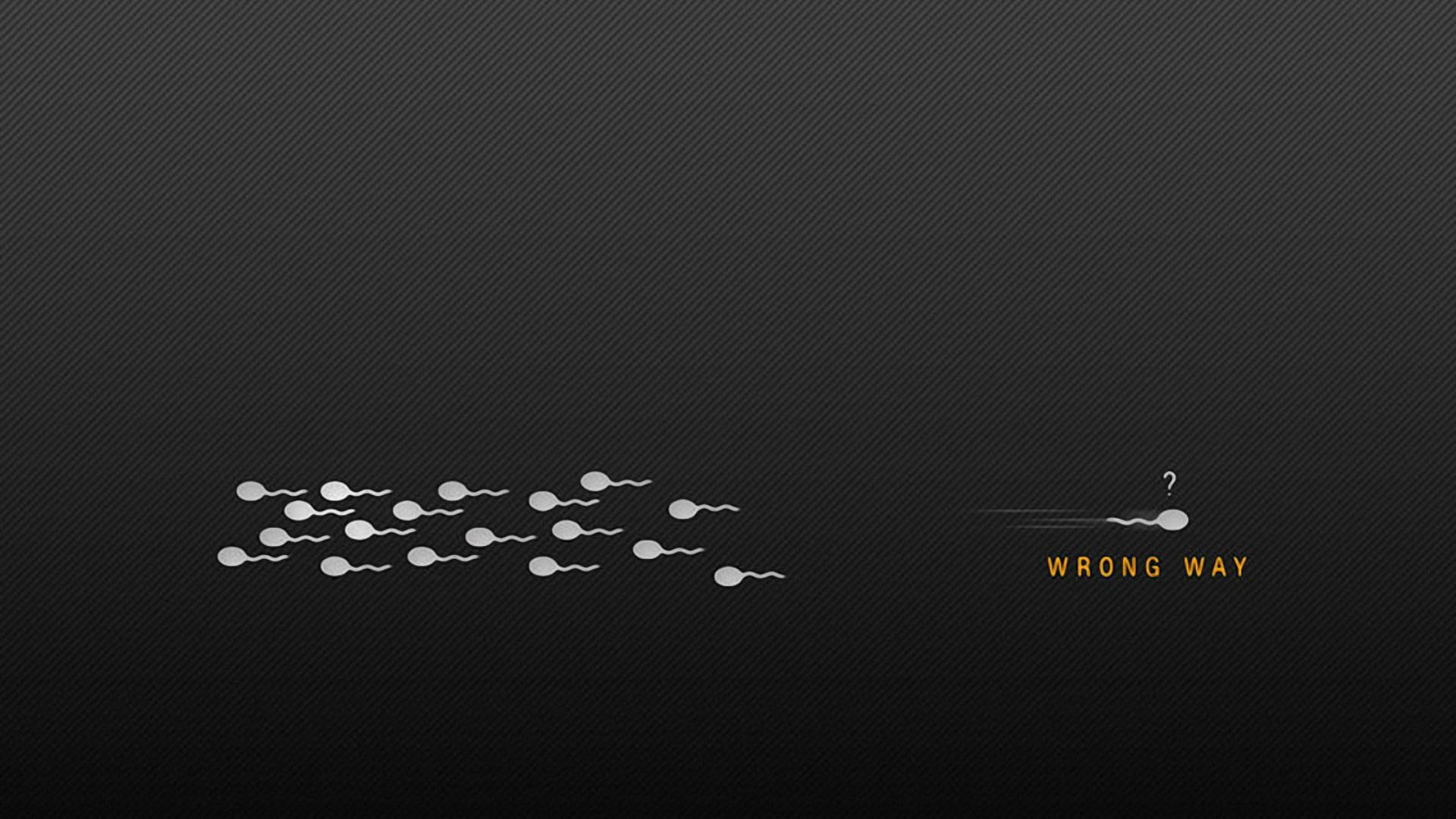 sperm cells, lone sperm, text wrong way, Full HD Desktop Wallpaper