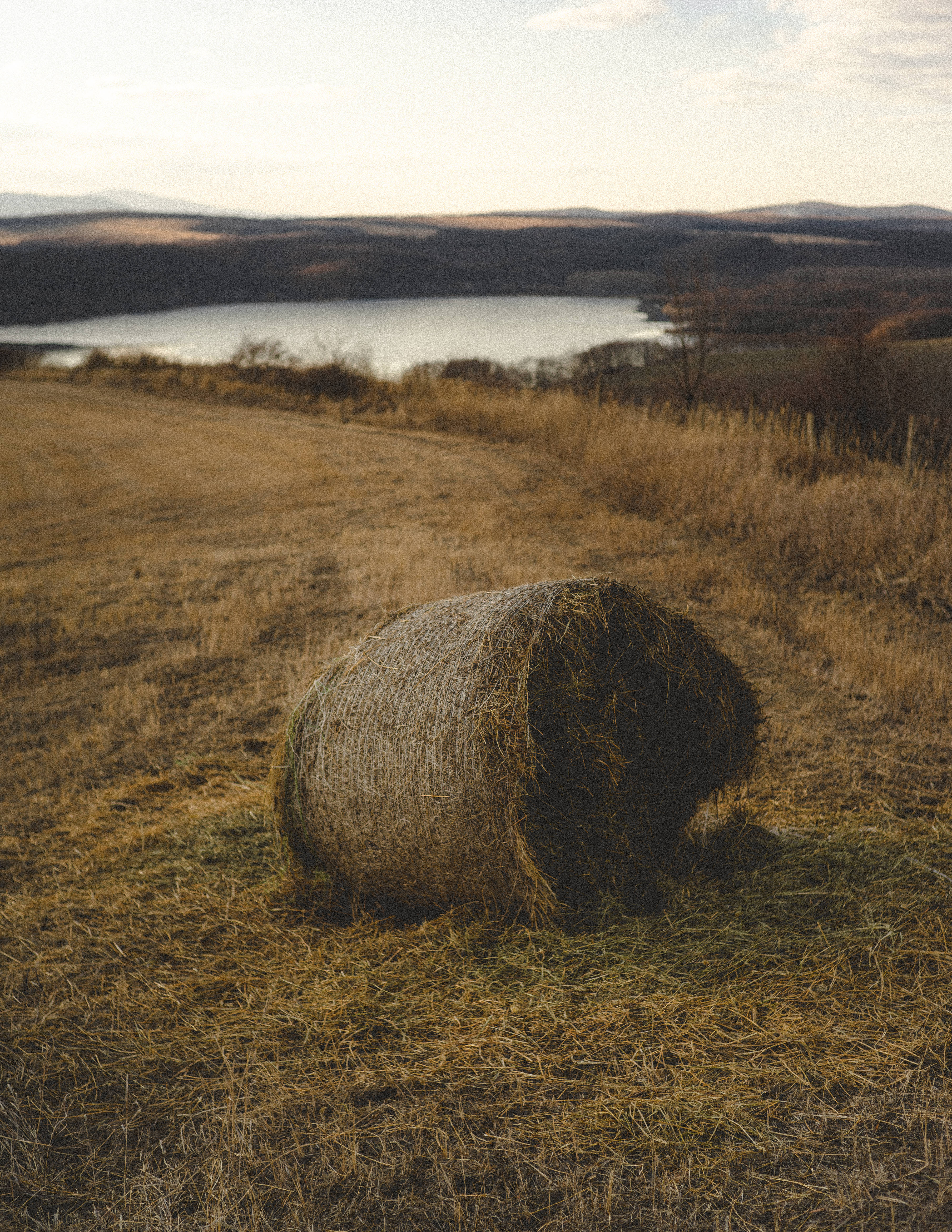 hay bale, Hungary farmland, golden field, 5K Phone Wallpaper