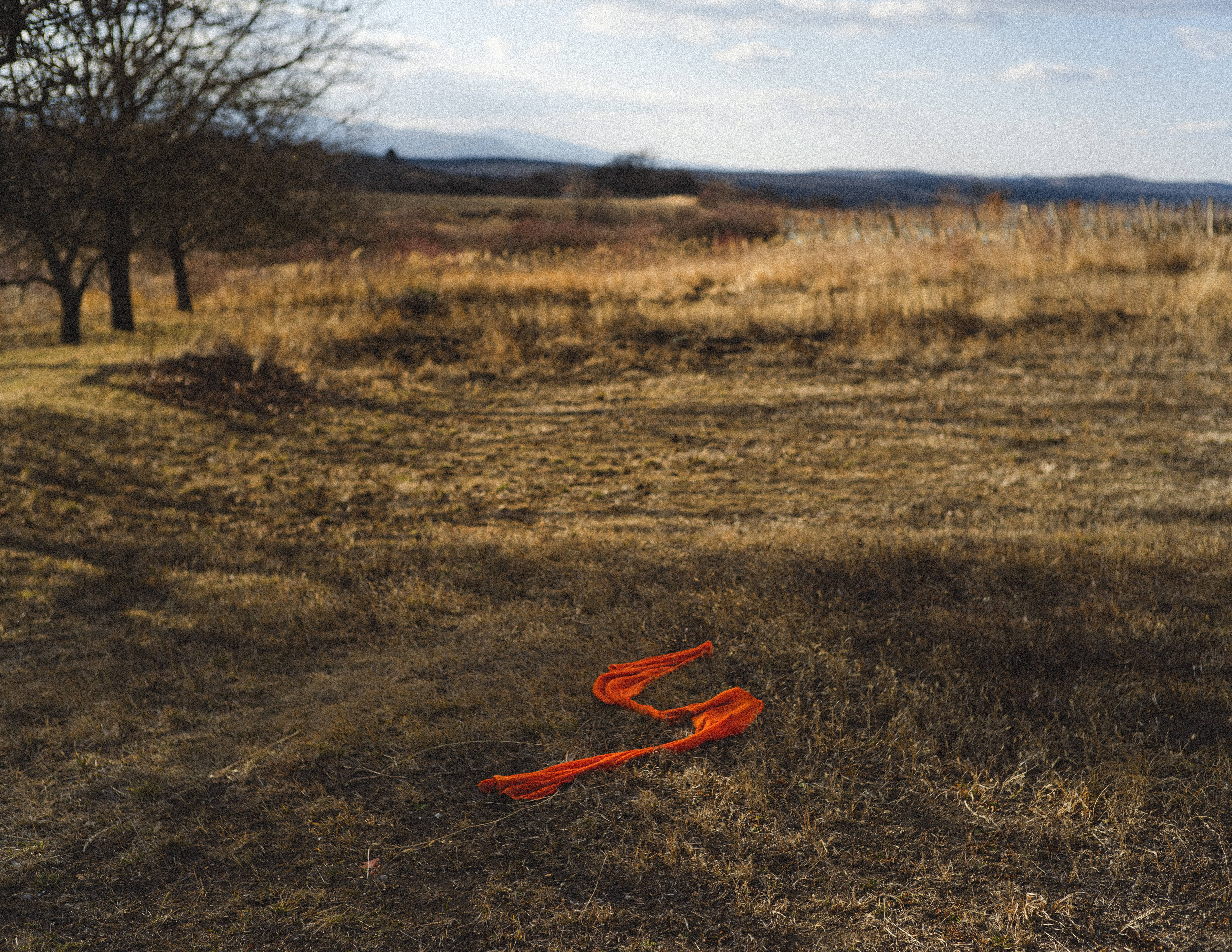 orange rope, Hungary, grassland, 4K Desktop Wallpaper
