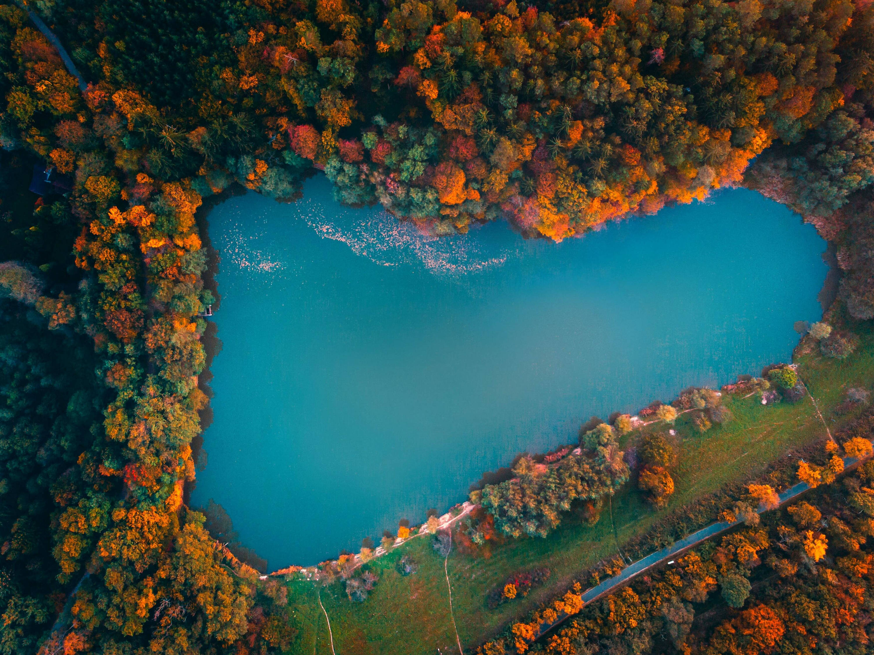lake in hungary, heart-shaped lake, autumn forest, 2K Desktop Wallpaper