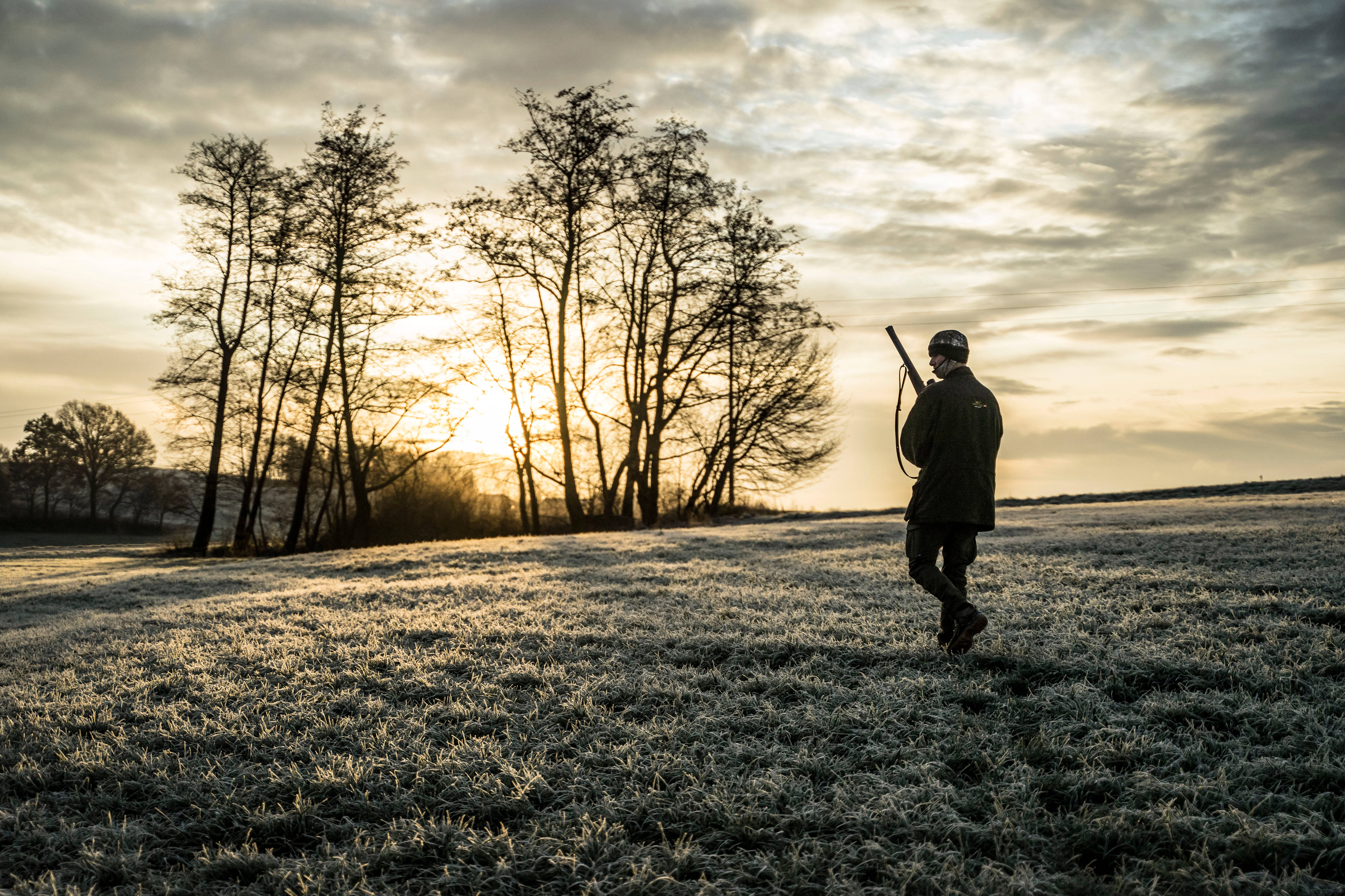 Hunt, sunrise, frost-covered field, 5K Desktop Wallpaper