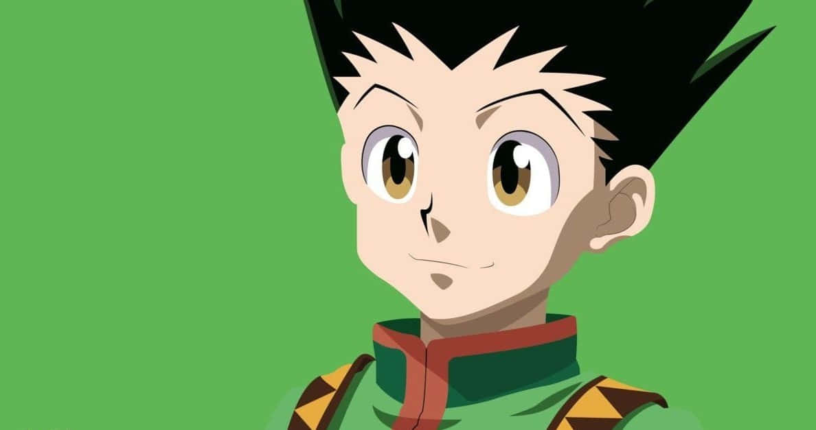 Hunter X Hunter, spiky black hair, brown eyes, SD Desktop Wallpaper