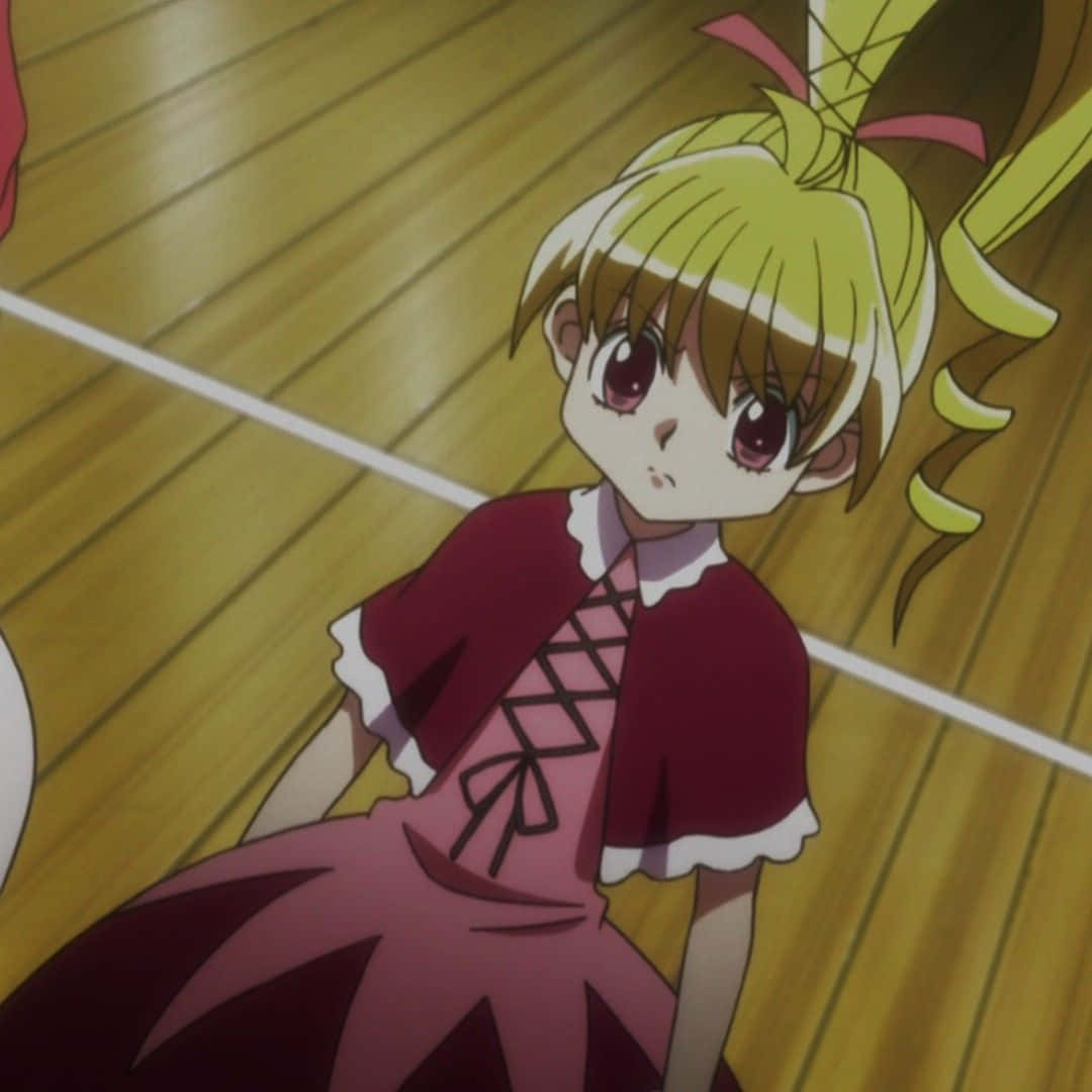 Hunter X Hunter, Bisky, blonde hair, SD Desktop Wallpaper