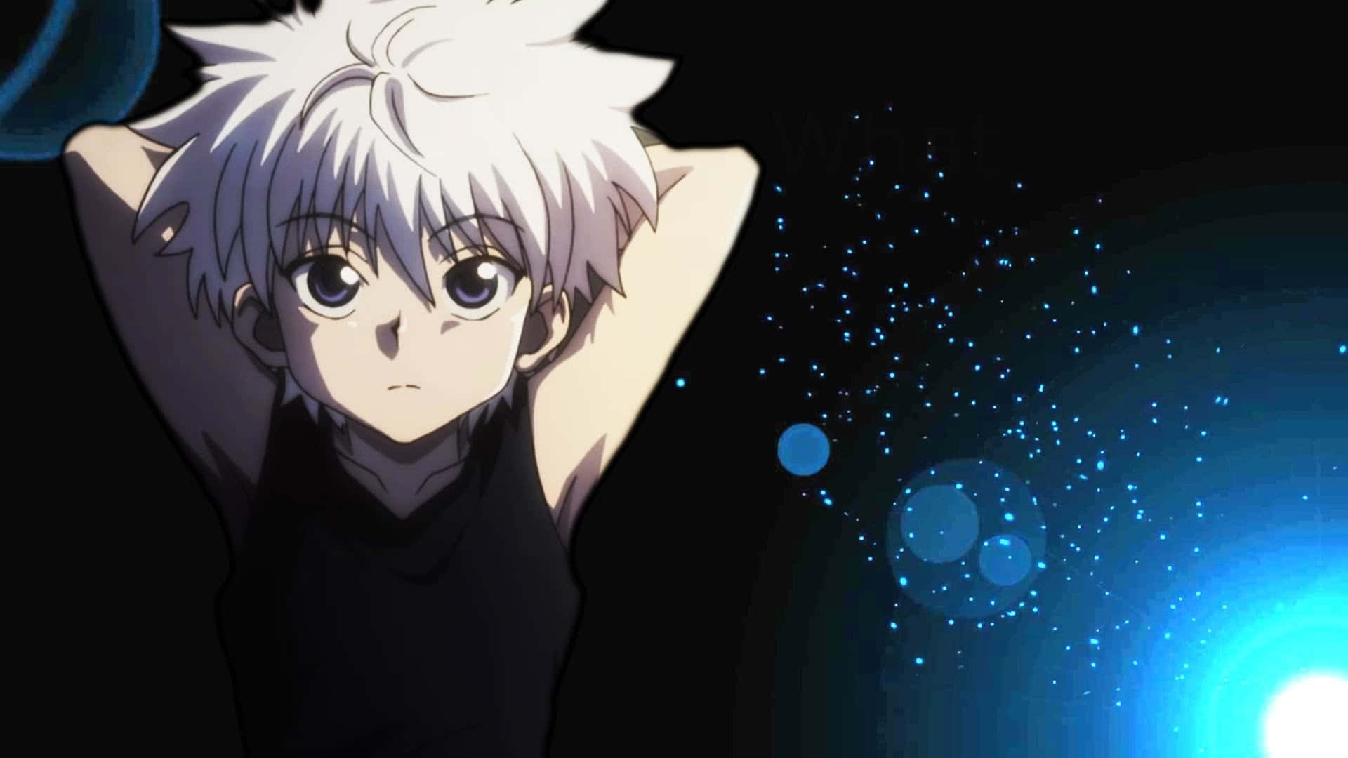 Hunter X Hunter, white-haired anime boy, cat ears, Full HD Desktop Wallpaper