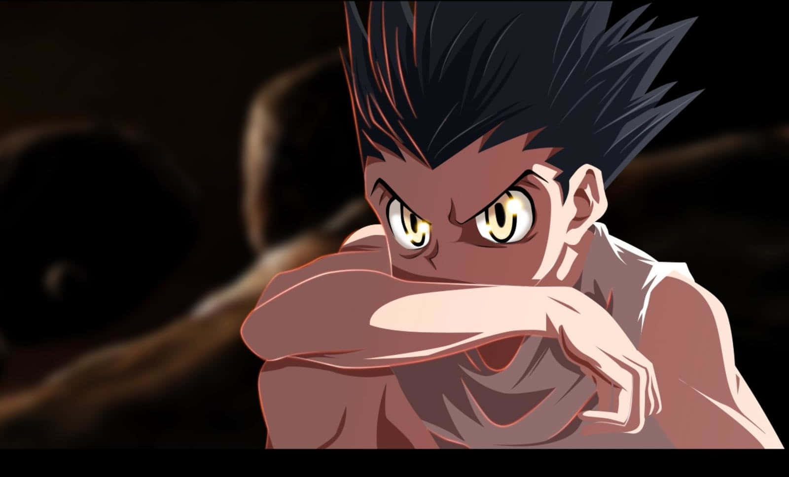 Hunter X Hunter, anime character, spiky black hair, HD Desktop Wallpaper