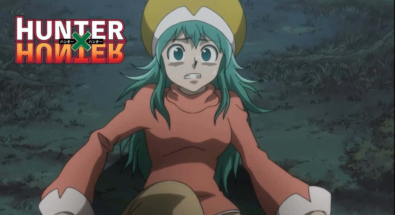 Hunter X Hunter, Ponzu, teal hair, HD Desktop Wallpaper
