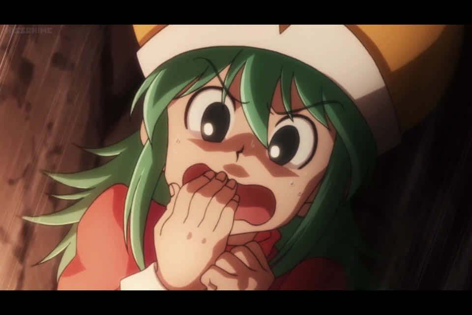 Ponzu, Hunter X Hunter, anime girl, SD Desktop Wallpaper